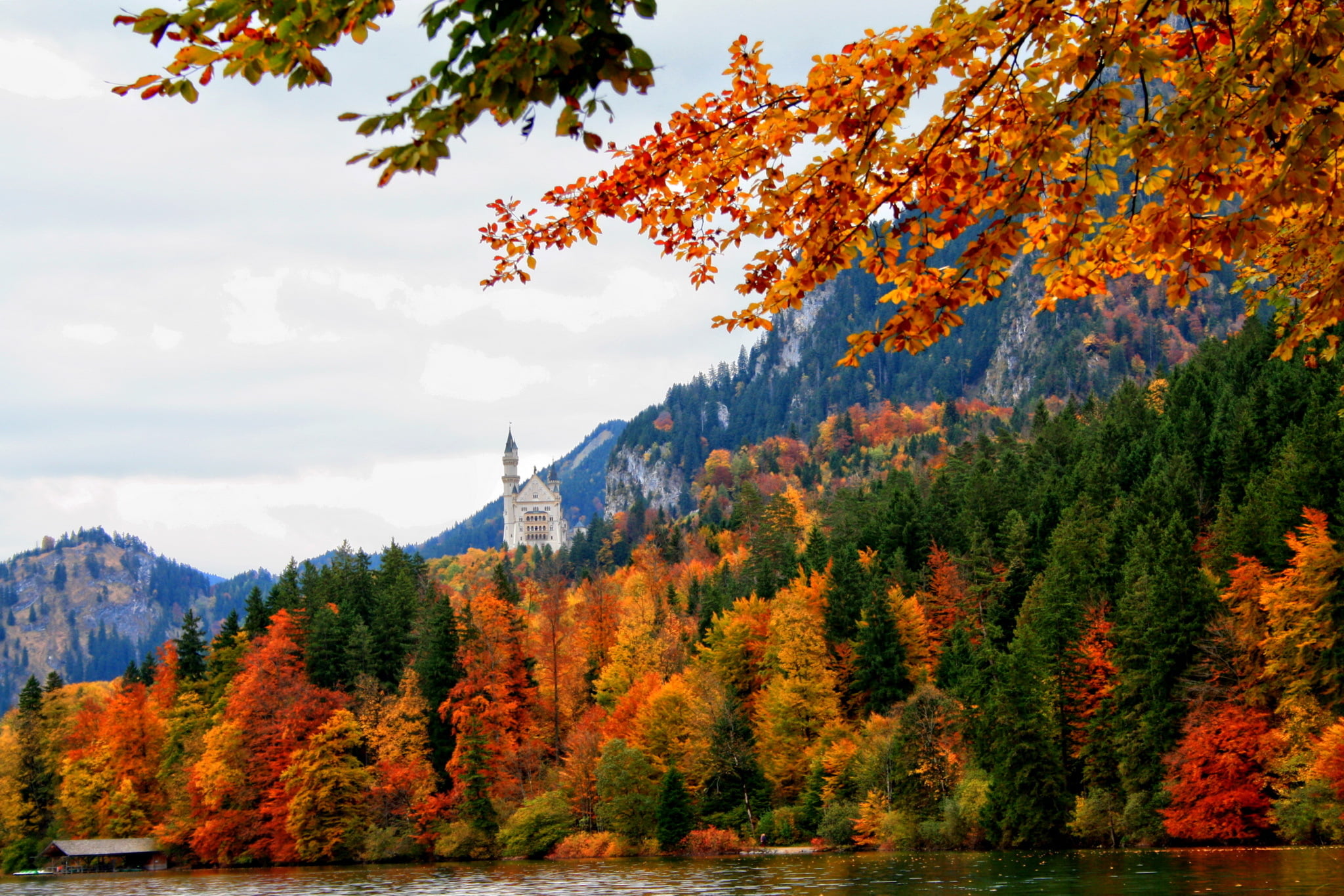 castle, beauty in nature, trees., tranquility, branch, tree, 1080P, fall, Bayern, sky, Bavaria, Schwangau, forest, cloud - sky, plant part, river, day, HD Wallpaper