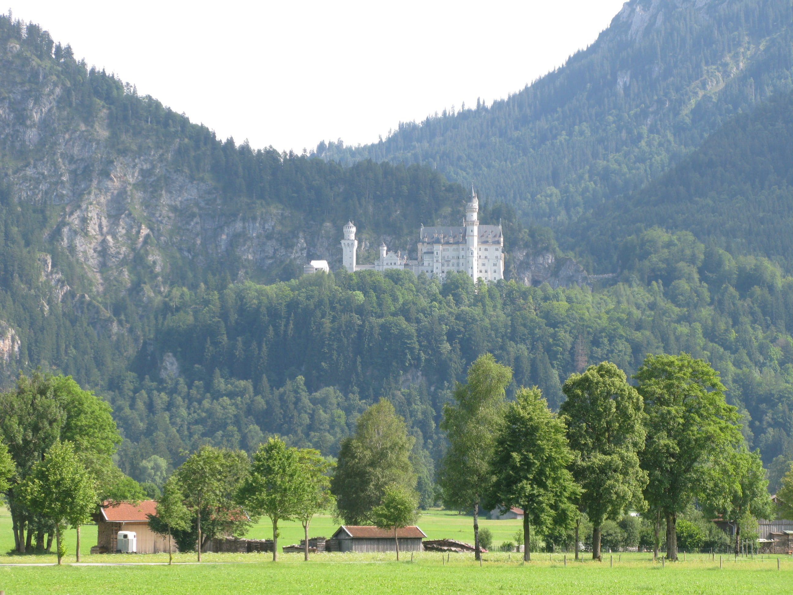 neuschwanstein castle, growth, scenics - nature, green color, beauty in nature, mountain meadow, environment, schwangau, remote recording, outdoors, land, HD Wallpaper