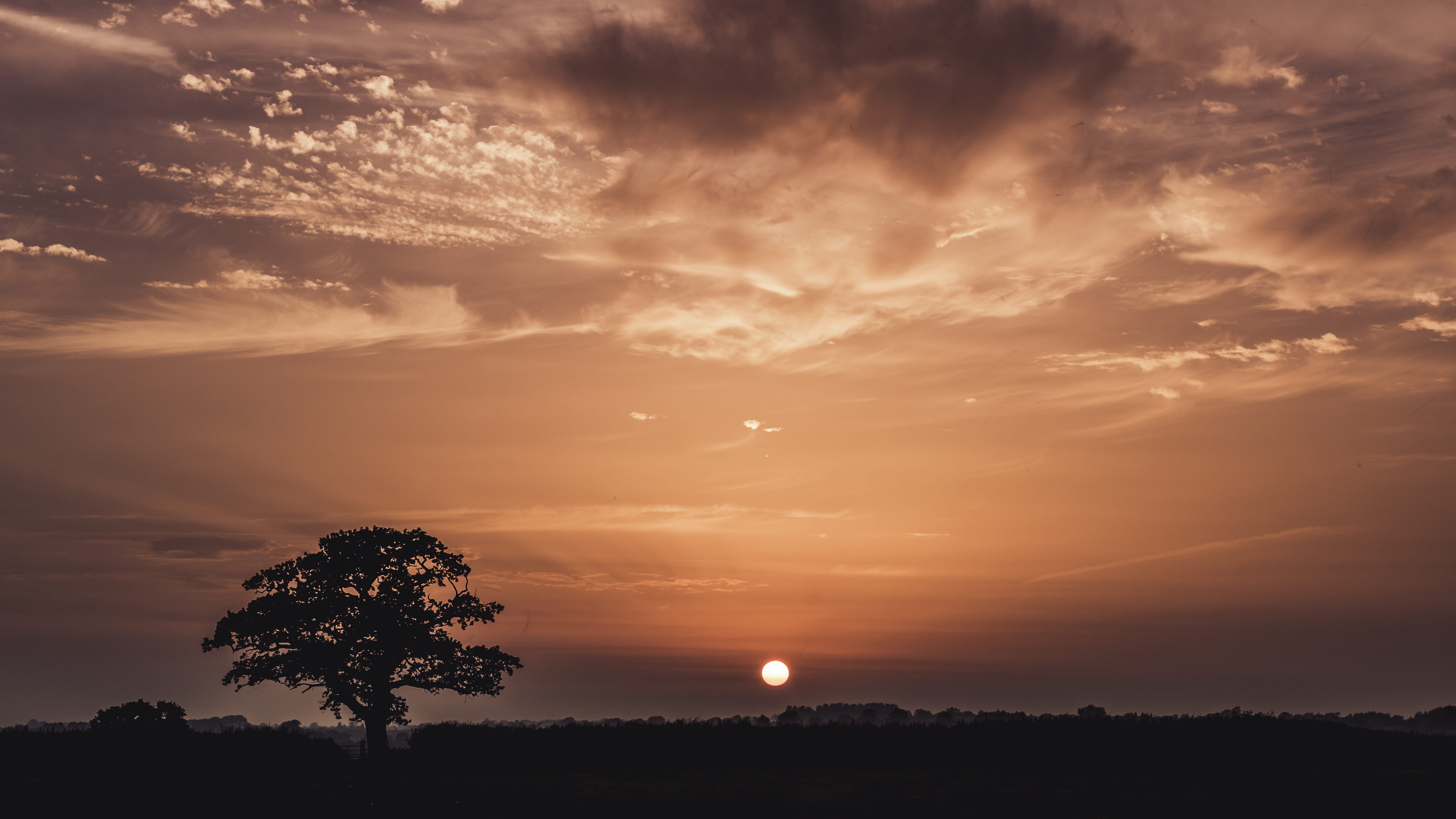 season, 5K, dark, silhouette, sunrise, beauty in nature, warming, travel, moon, sun, colour, cloud, tree, sunset, bright, romantic sky, no people, painting, HD Wallpaper