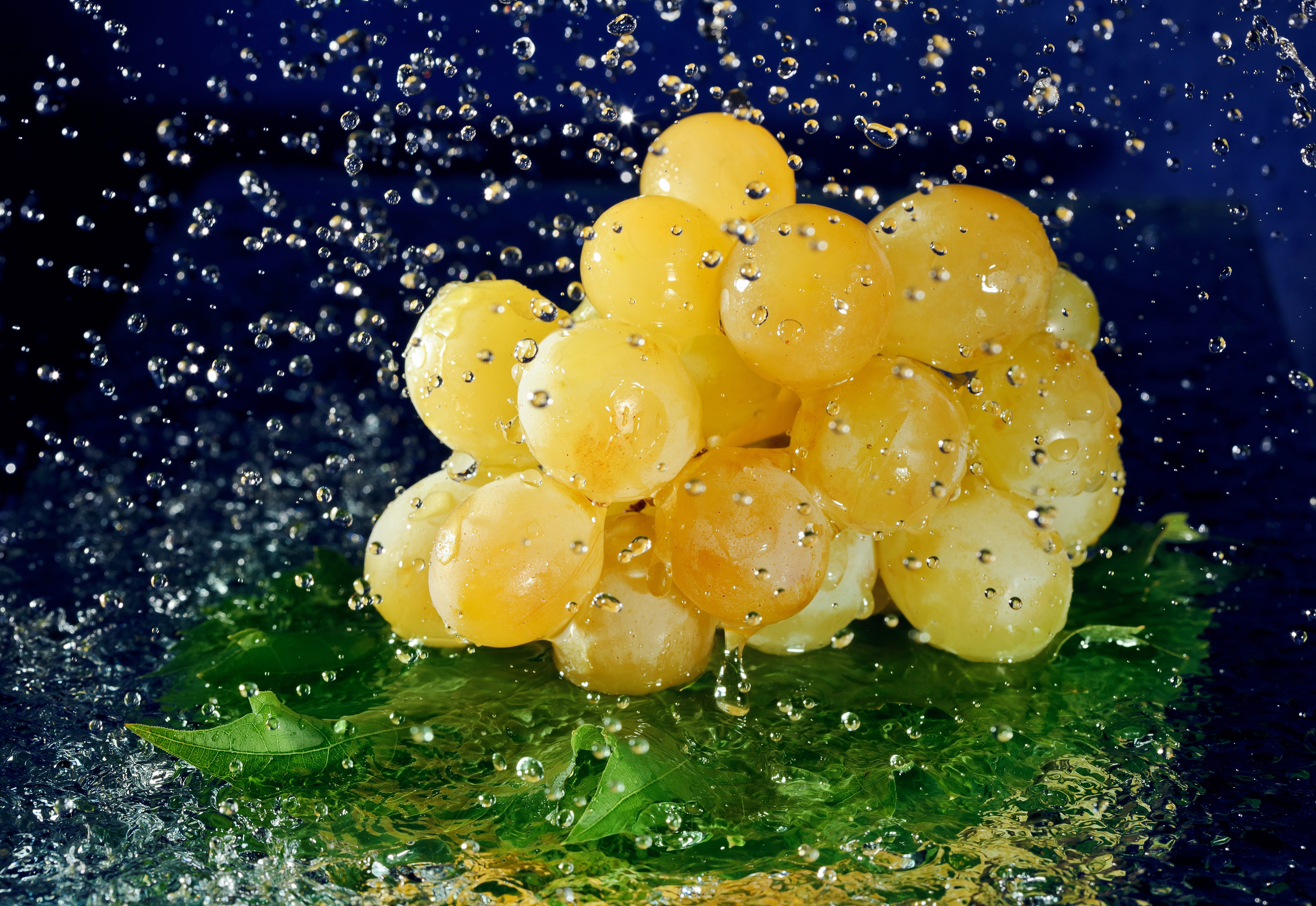 summer, wet, refreshment, black background, water, fruit, indoors, wellbeing, drops, splashing, gourmet, 4K, egg, yellow, healthy Eating, macro, blue background, HD Wallpaper