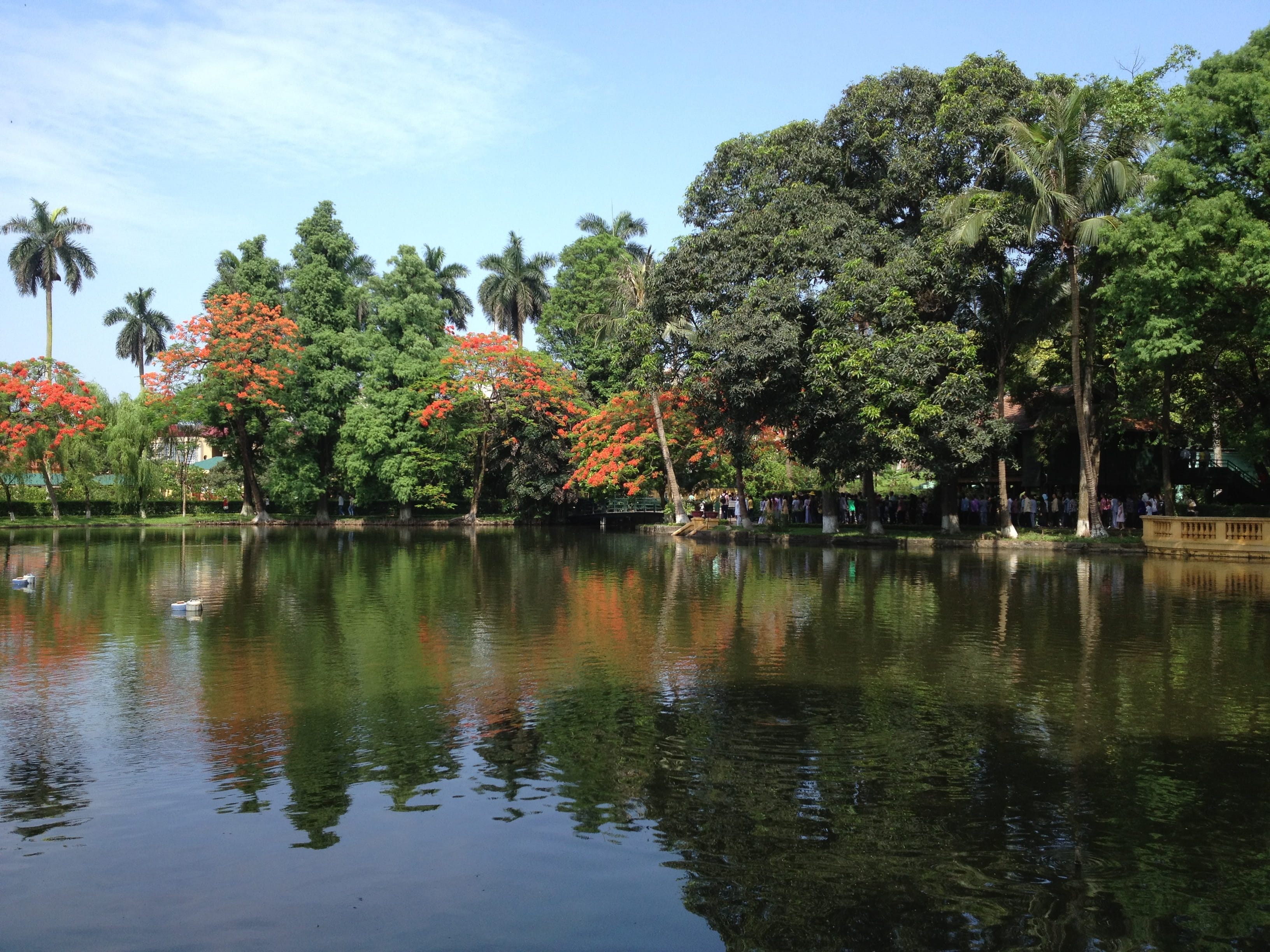 plant, idyllic, vietnamese, growth, reflection, no people, Lake, vietnam lanscape, non-urban scene, green color, tranquil scene, outdoors, hanoi capital, HD Wallpaper