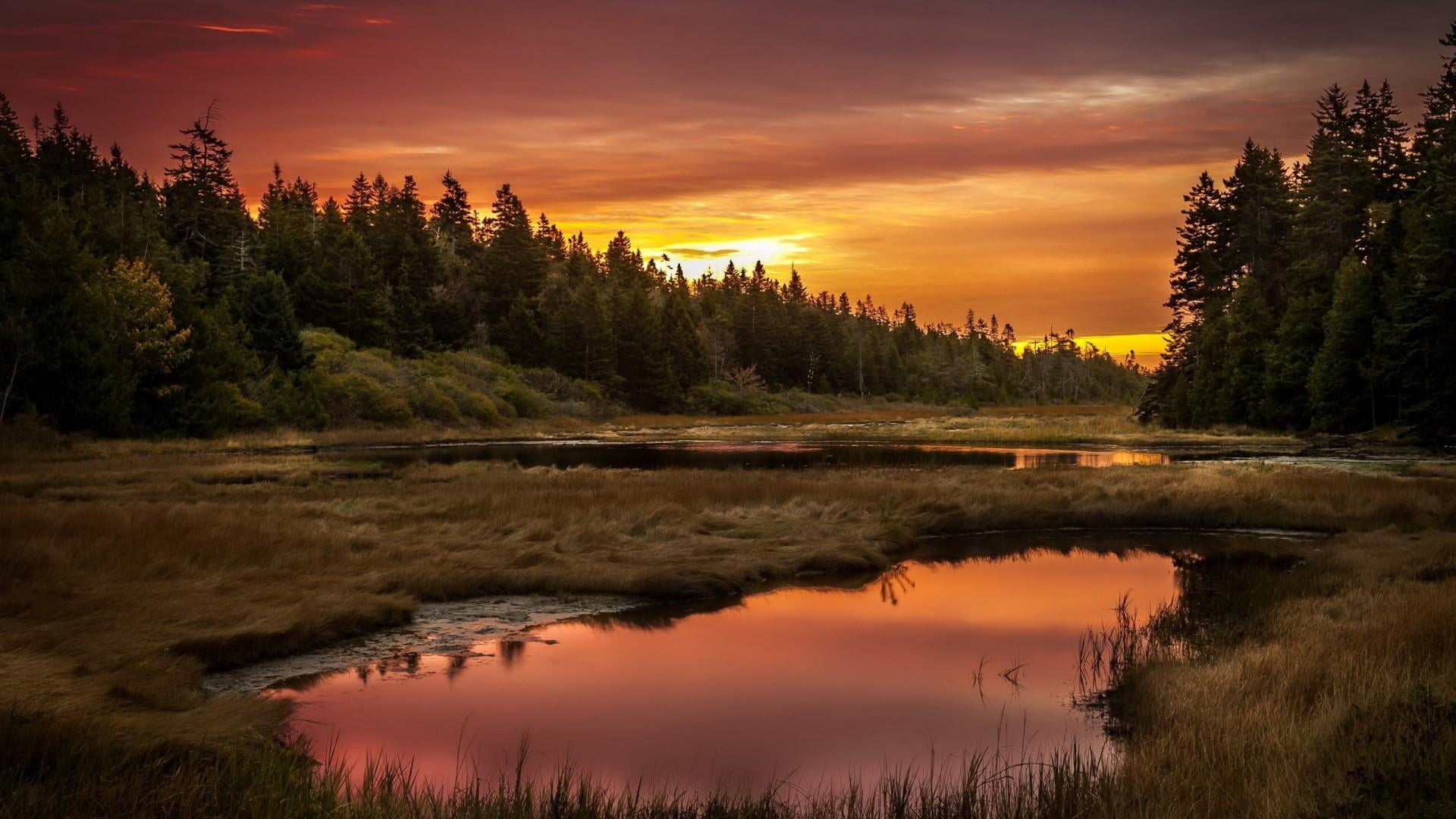 sunset, tranquil scene, lake, pine tree, non-urban scene, cloud - sky, orange color, water, 1080P, beauty in nature, glade, scenics - nature, tree, nature, HD Wallpaper