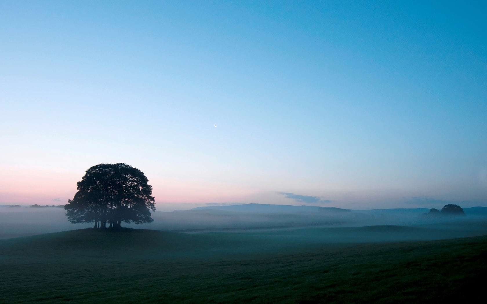 back Lit, glade, mountain, hill, green, scenics - nature, season, photography, mist, landscape, scenics, grass, morning, tree, outdoors, non-Urban Scene, HD Wallpaper