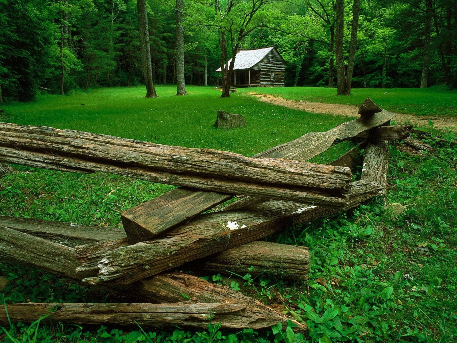 tree, cabin, day, glade, green, beauty In Nature, landscape, trees, land, rustic, wood, green Color, growth, grass, rural Scene, architecture, timber, built structure, HD Wallpaper