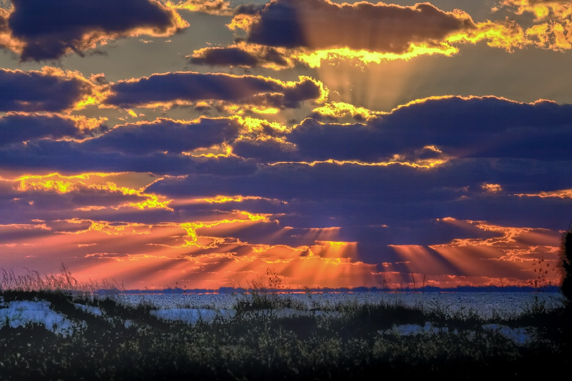 sunlight, scenics - nature, ocean, idyllic, usa, sun rays, plant, tranquil scene, horizon, land, field, tranquility, nature, orange color, florida, beauty in nature, HD Wallpaper