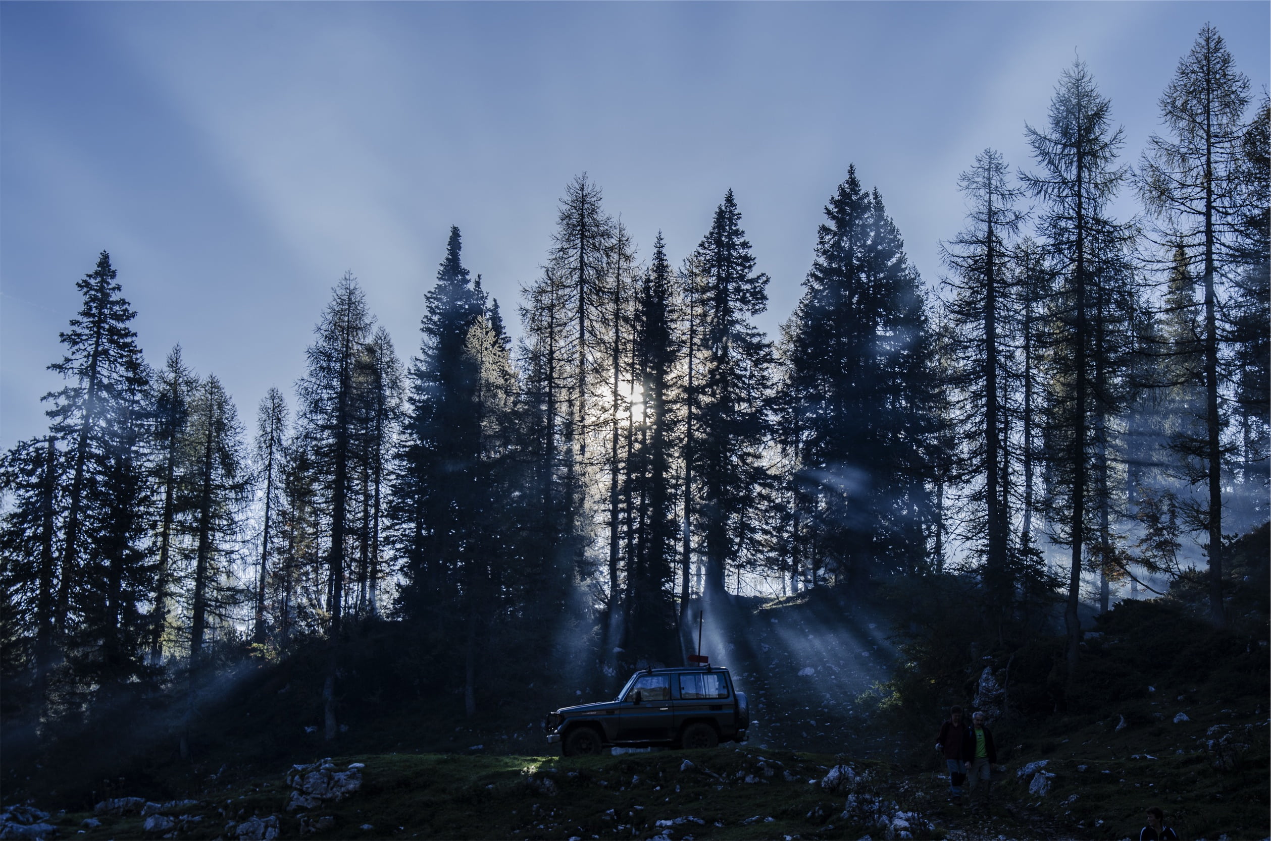 day, suv, no people, landscape, scenics, forest, trees, land, sky, transportation, sunset, black, near, non-urban scene, growth, parked, pine tree, coniferous tree, HD Wallpaper