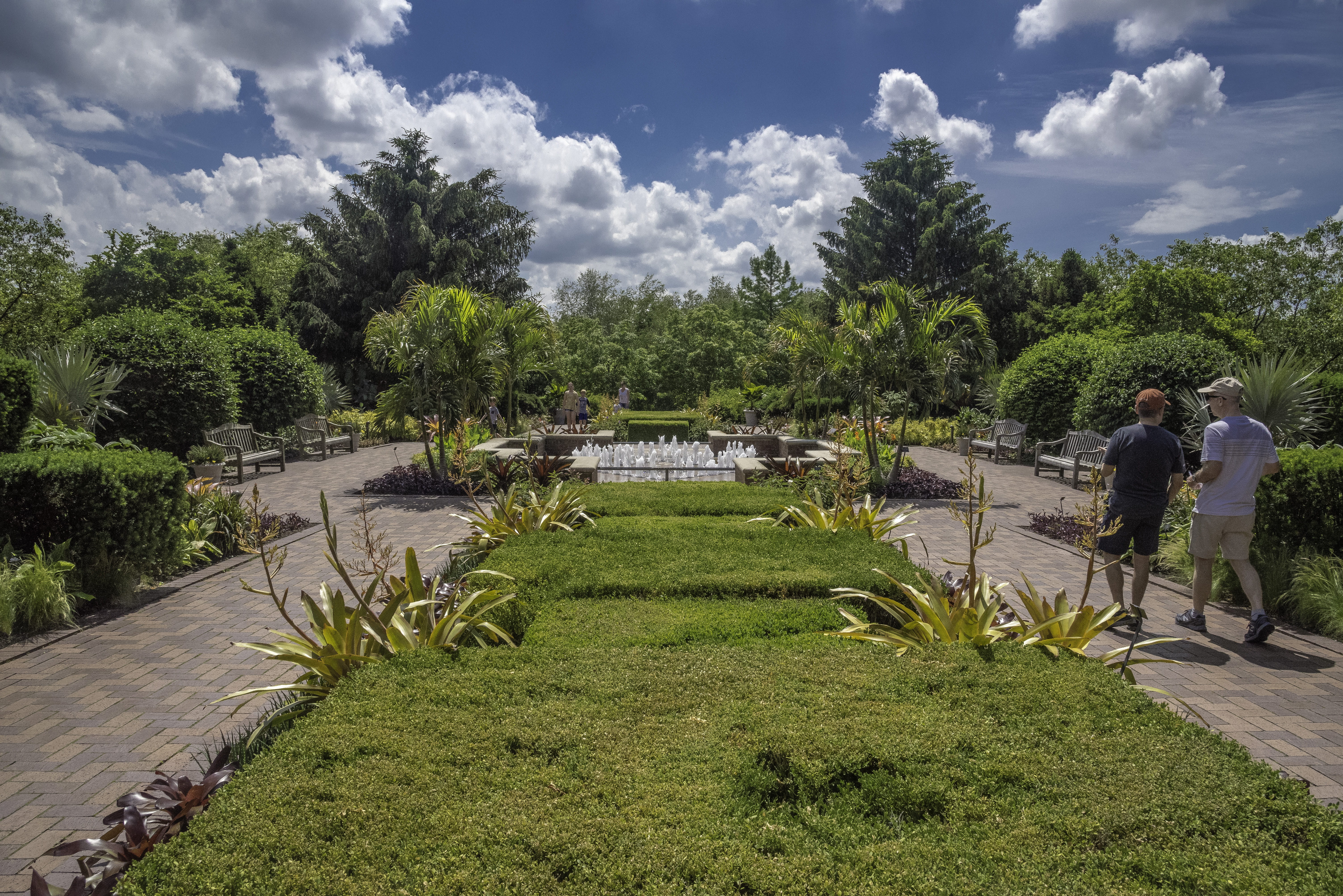 real people, grass, flora, growth, Landscape, outdoors, Botanical Gardens, clouds, nature, water, 5K, beauty in nature, green color, cloud - sky, green, HD Wallpaper