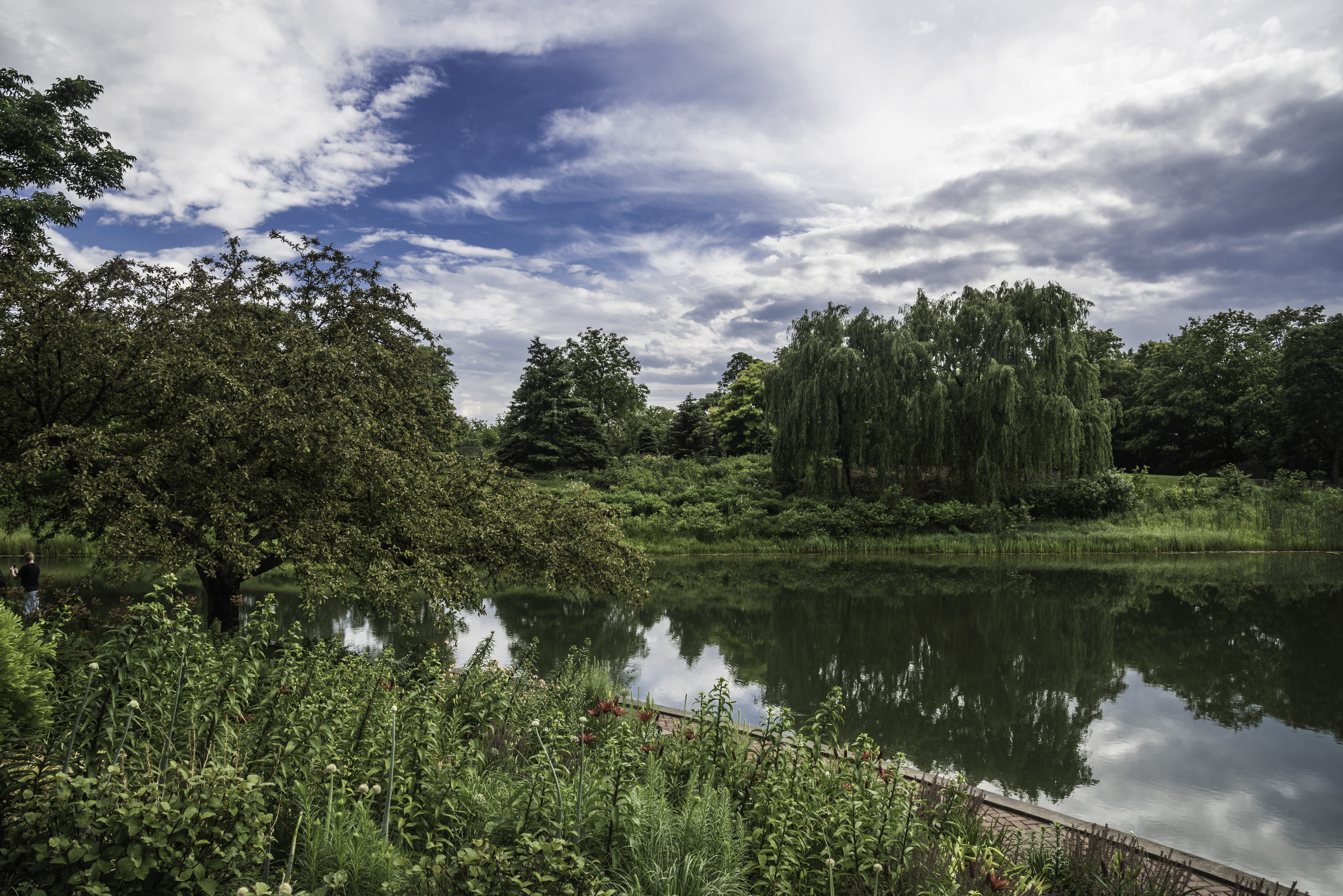 ponds, Botanical Gardens, reflection, gardens, nature, water, tree, grass, river, no people, growth, scenics - nature, lake, trees, tranquil scene, Chicago, HD Wallpaper