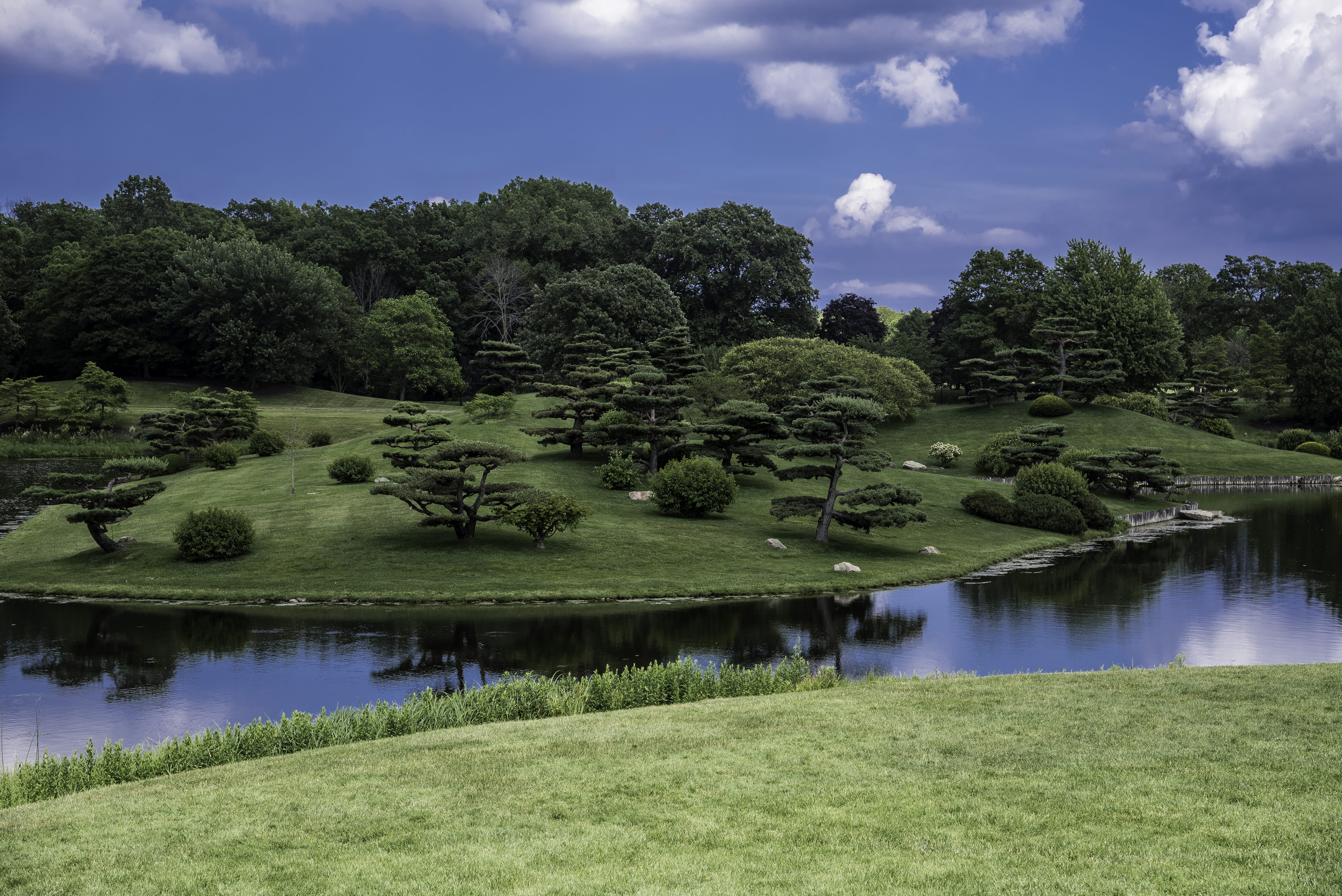 public domain, rural Scene, grass, scenics - nature, golf course, plant, nature, japanese, water, sky, outdoors, summer, scenic, chicago botanical gardens, HD Wallpaper