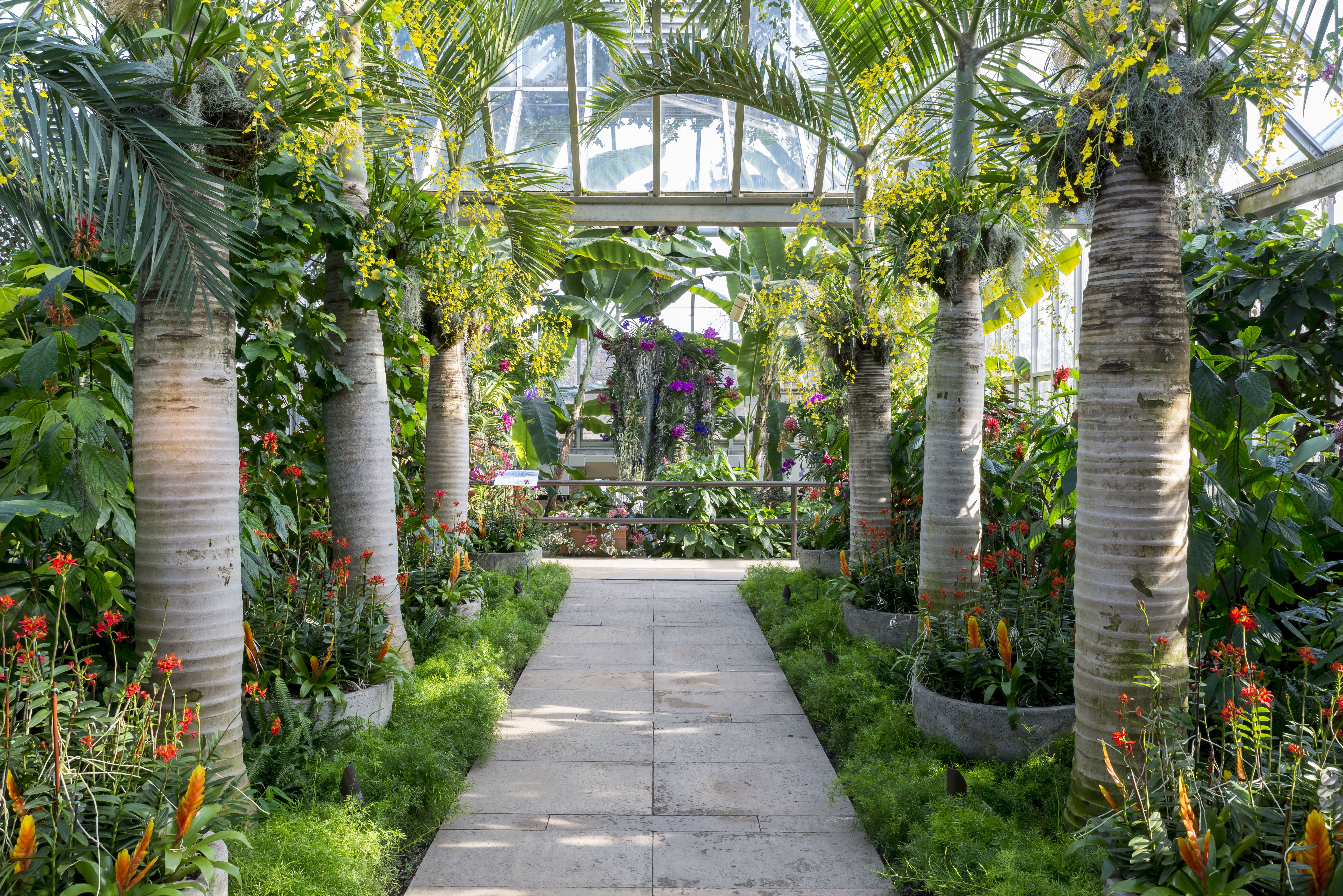 5K, usa, 6016x4016, botanic, 539651, chicago, garden, city, gardens, HD Wallpaper