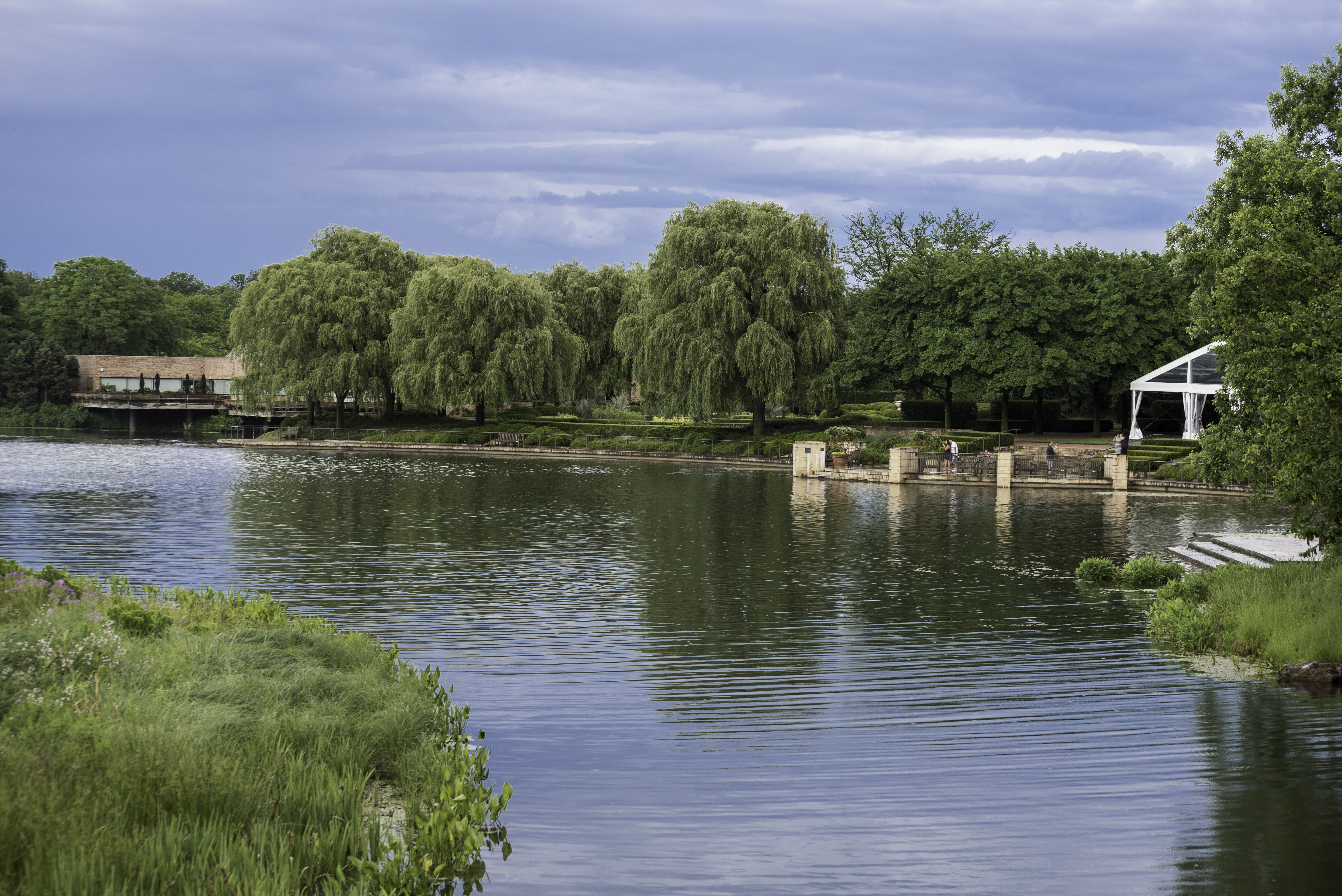 growth, 5K, beauty in nature, landscapes, illinois, chicago botanical gardens, day, public domain, lake, outdoors, built structure, river, green color, HD Wallpaper