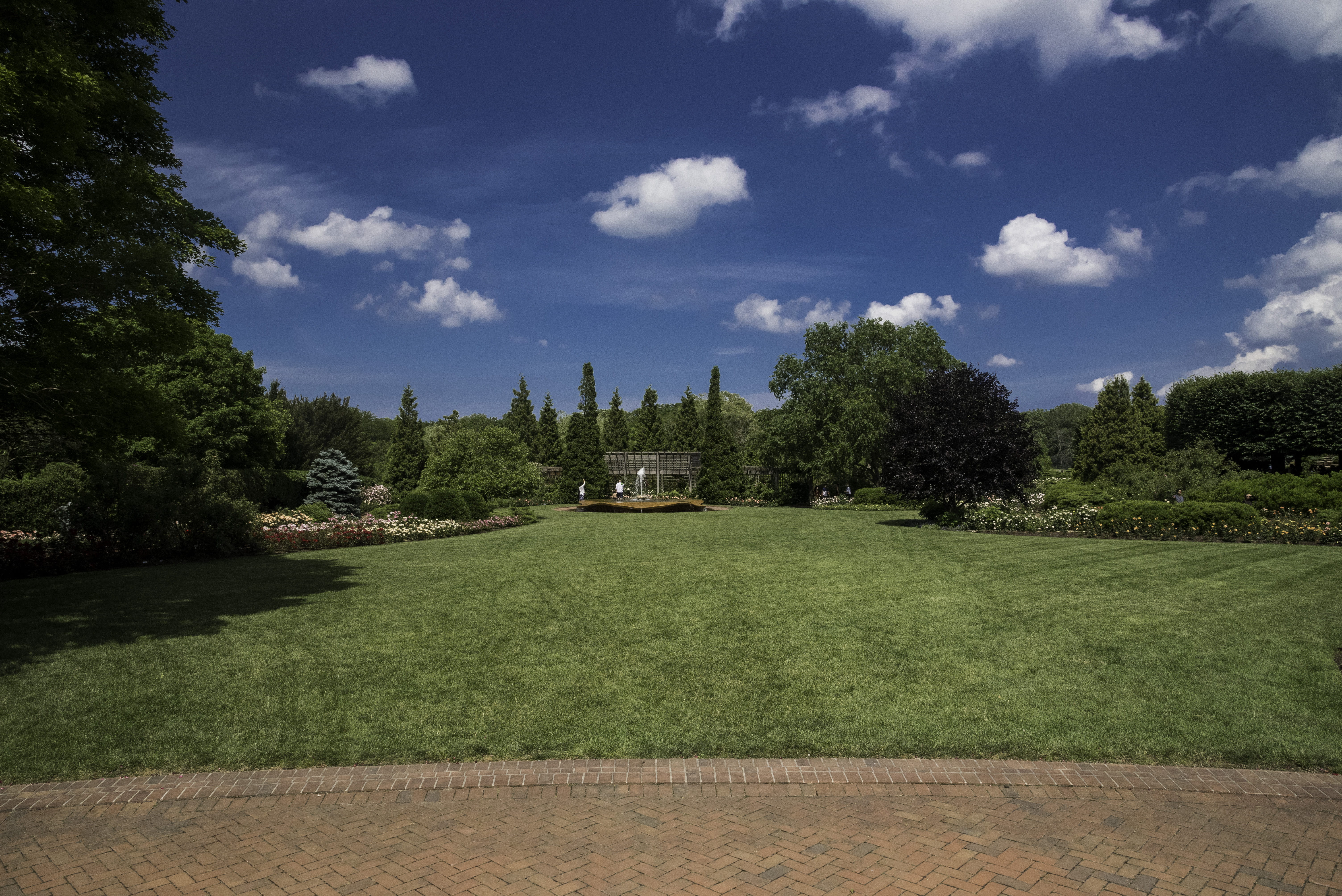 travel destinations, cloud - Sky, sky, public domain, lawn, growth, outdoors, Botanical Gardens, Chicago, history, tree, architecture, 5K, trees, plant, HD Wallpaper