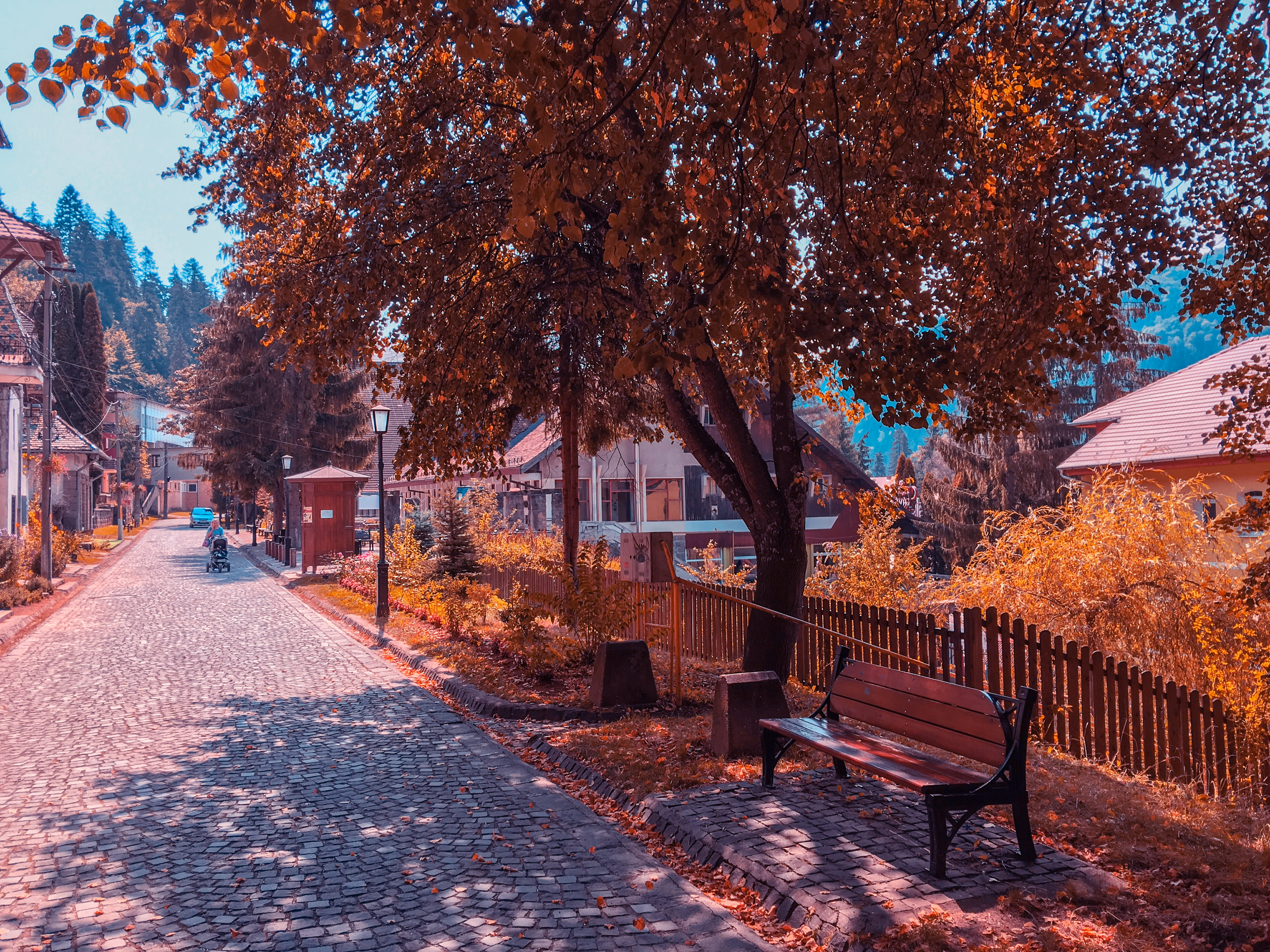 building exterior, growth, daytime, human, 4K, autumn, cobblestone, architecture, sidewalk, nature, boardwalk, outdoors, bench, romania, direction, aleea sfânta ana 17, HD Wallpaper