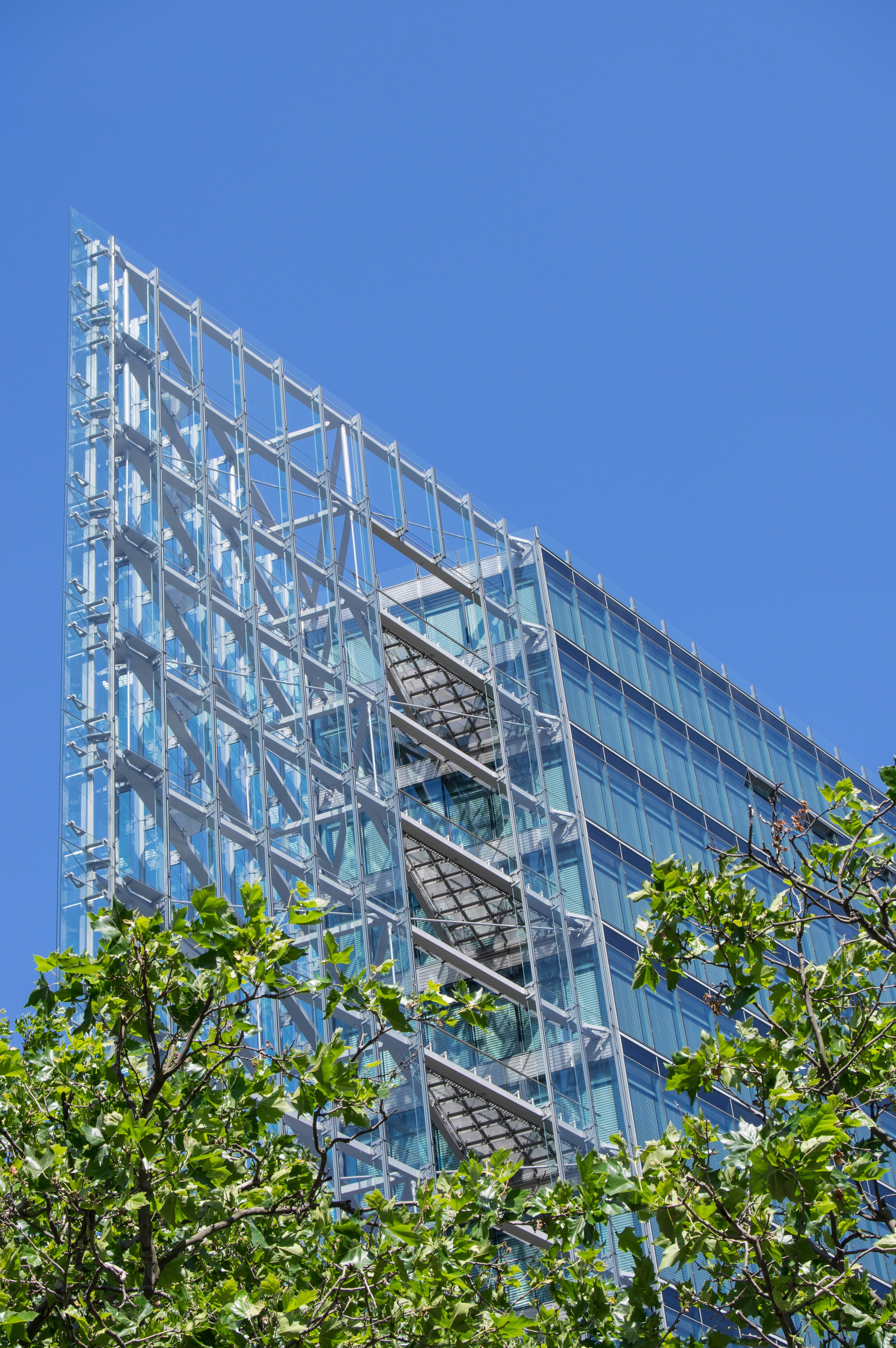 architecture, glass front, skyscraper, glass - material, plant, 5K, outdoors, low angle view, business, day, nature, berlin, glass facades, urban, building exterior, Phone HD Wallpaper