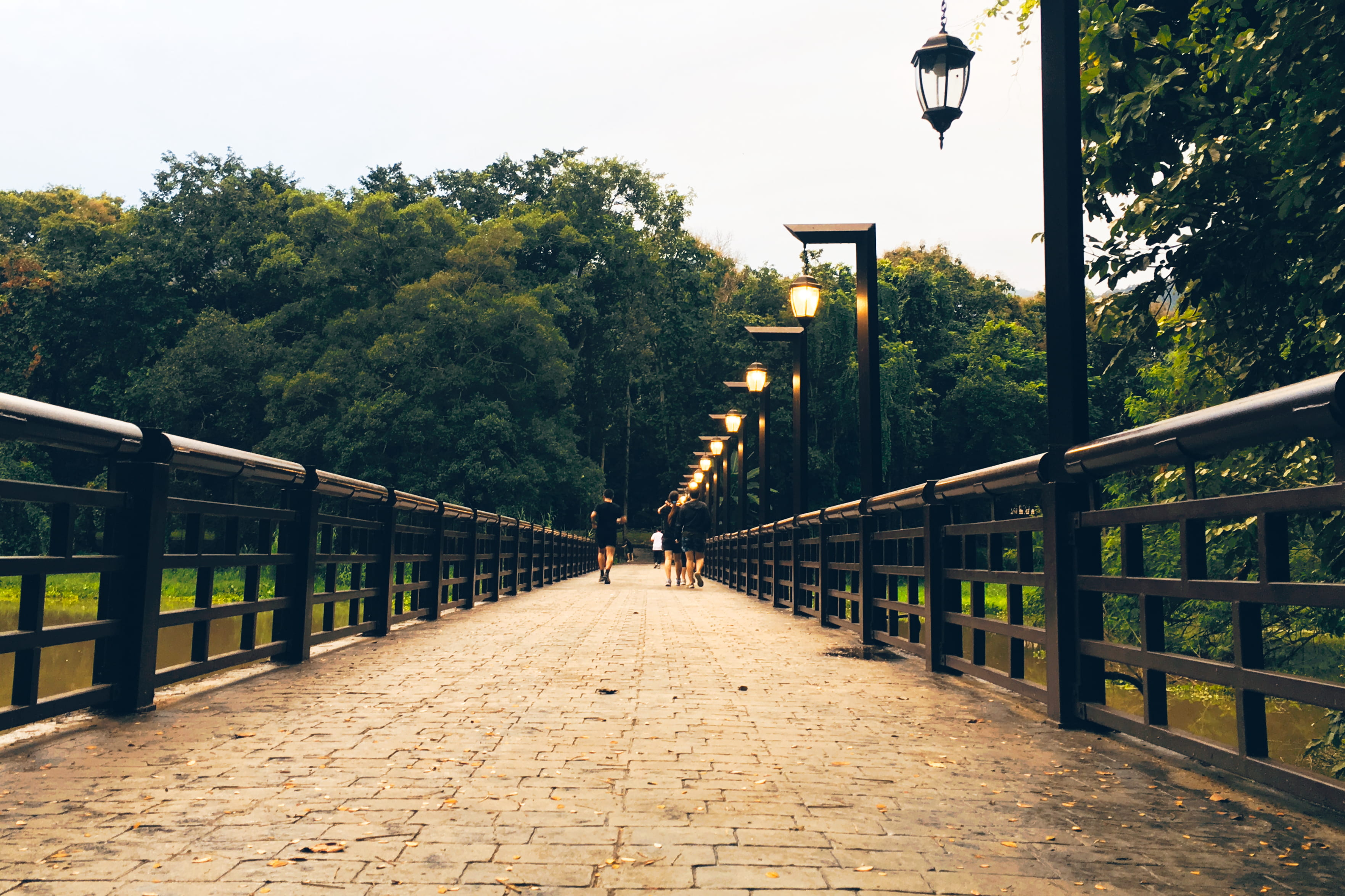 light, nature, low angle shot, landscape, day, tree, trees, bridge - man made structure, people, footpath, river, built structure, footbridge, road, scenic, HD Wallpaper