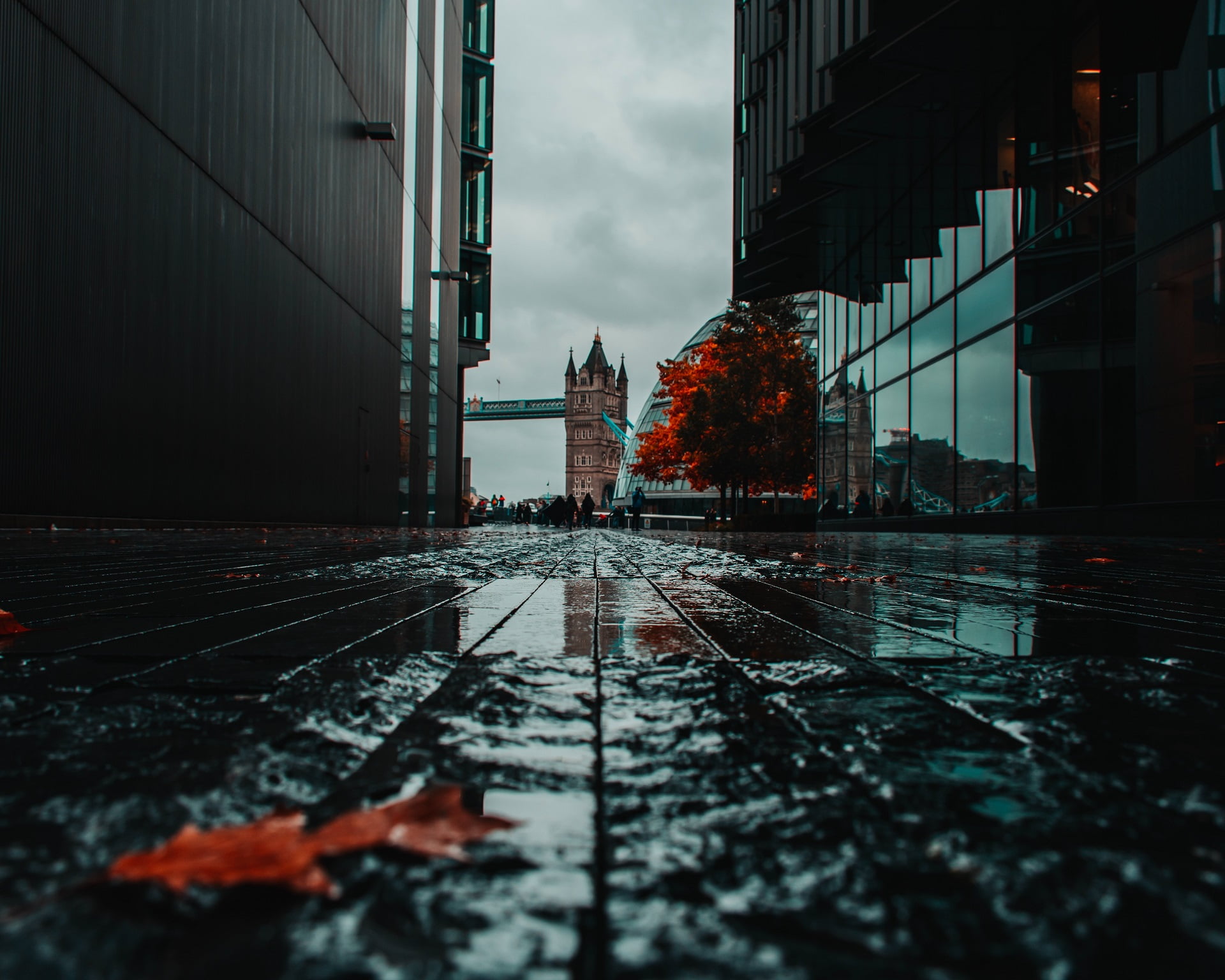 fall, city, rain, cobblestone, wet, Tower Bridge, 1080P, London, HD Wallpaper