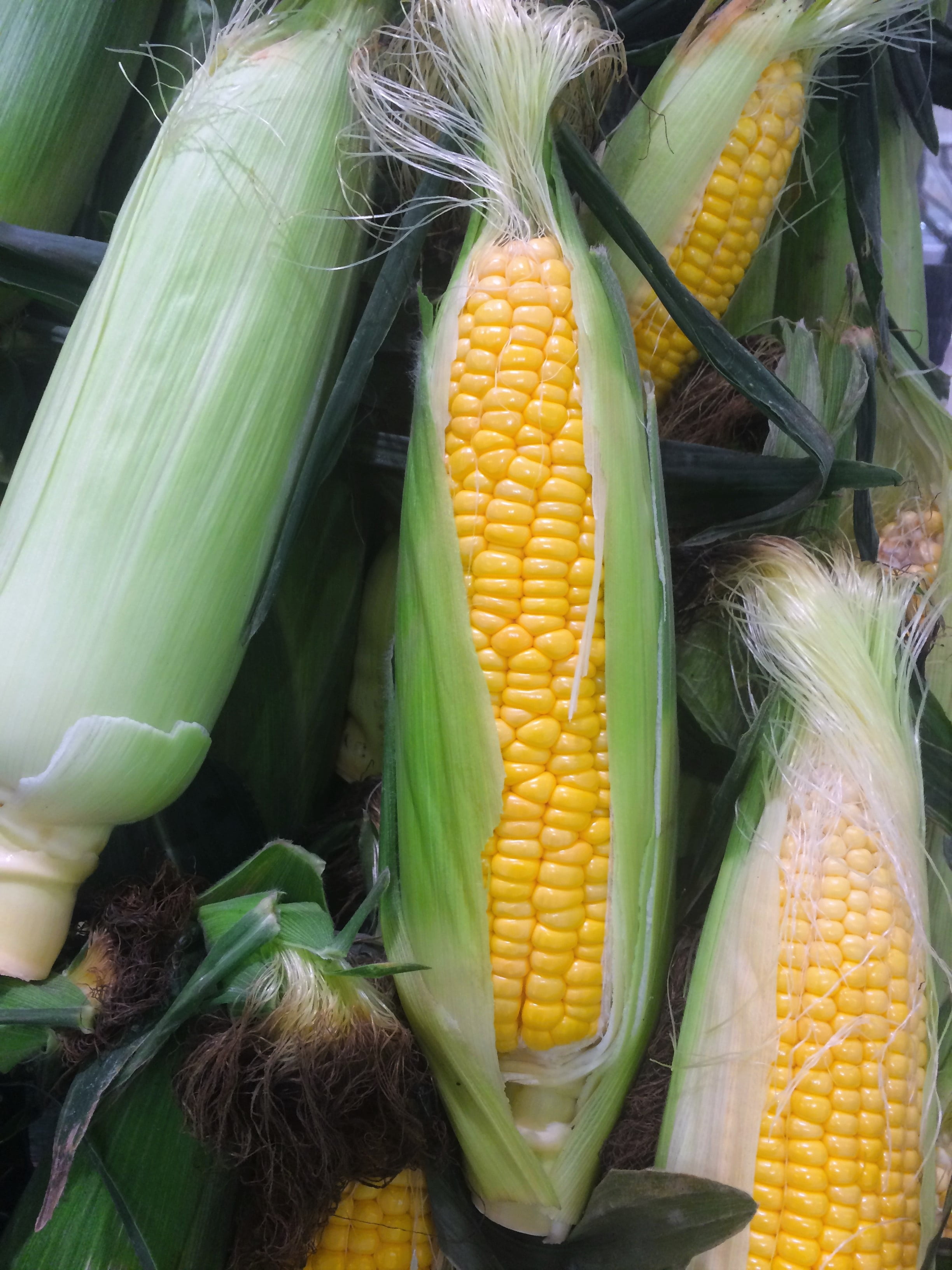 no people, freshness, agriculture, department, sweet, seiyu ltd, corn on the cob, outdoors, cereal plant, food and drink, corns, japan, living, vegetables, Phone HD Wallpaper