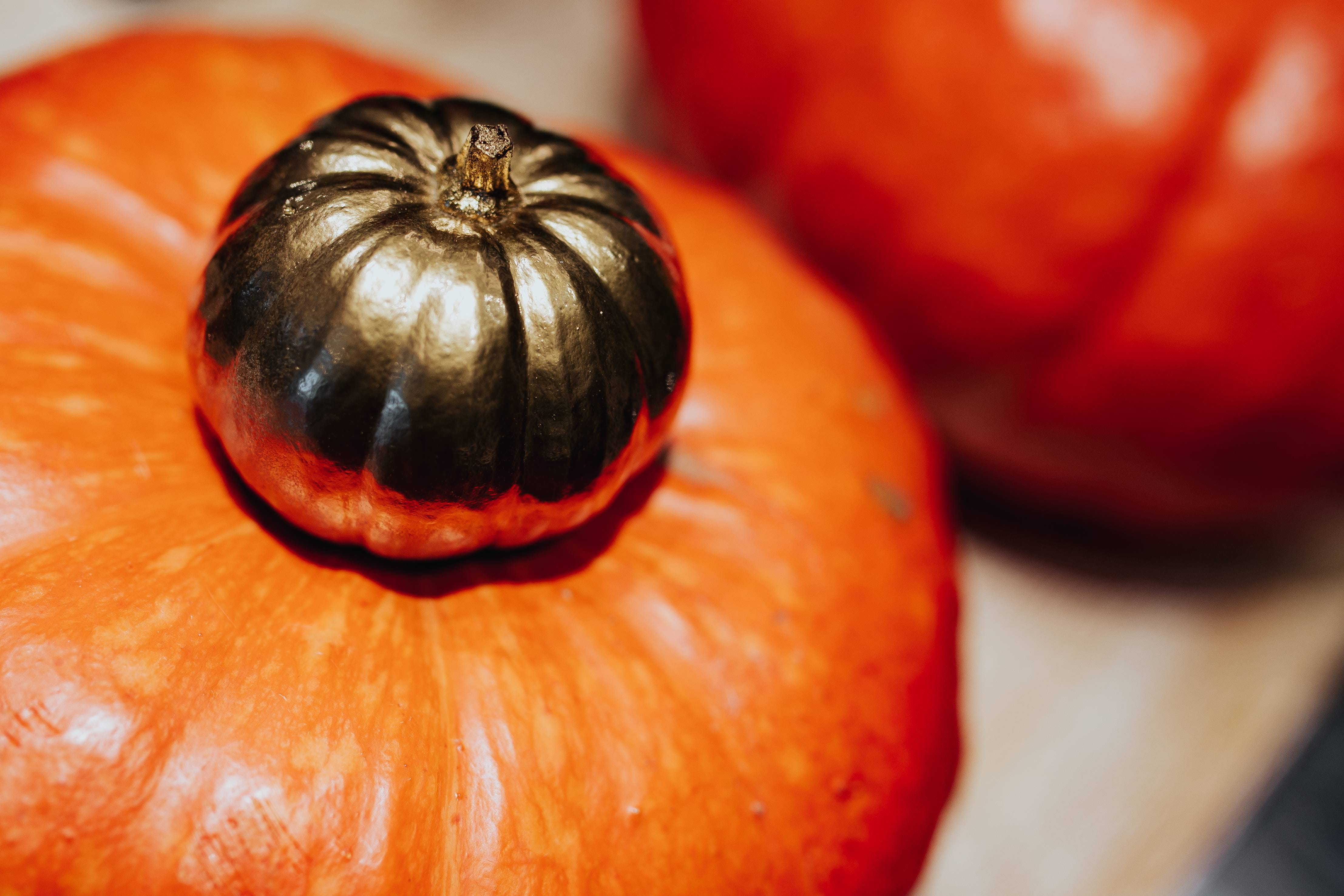 season, focus on foreground, ornaments, food and drink, thanksgiving, autumn, october, pumpkin, fruit, wellbeing, raw food, pumpkins, ornamental, bauble, HD Wallpaper