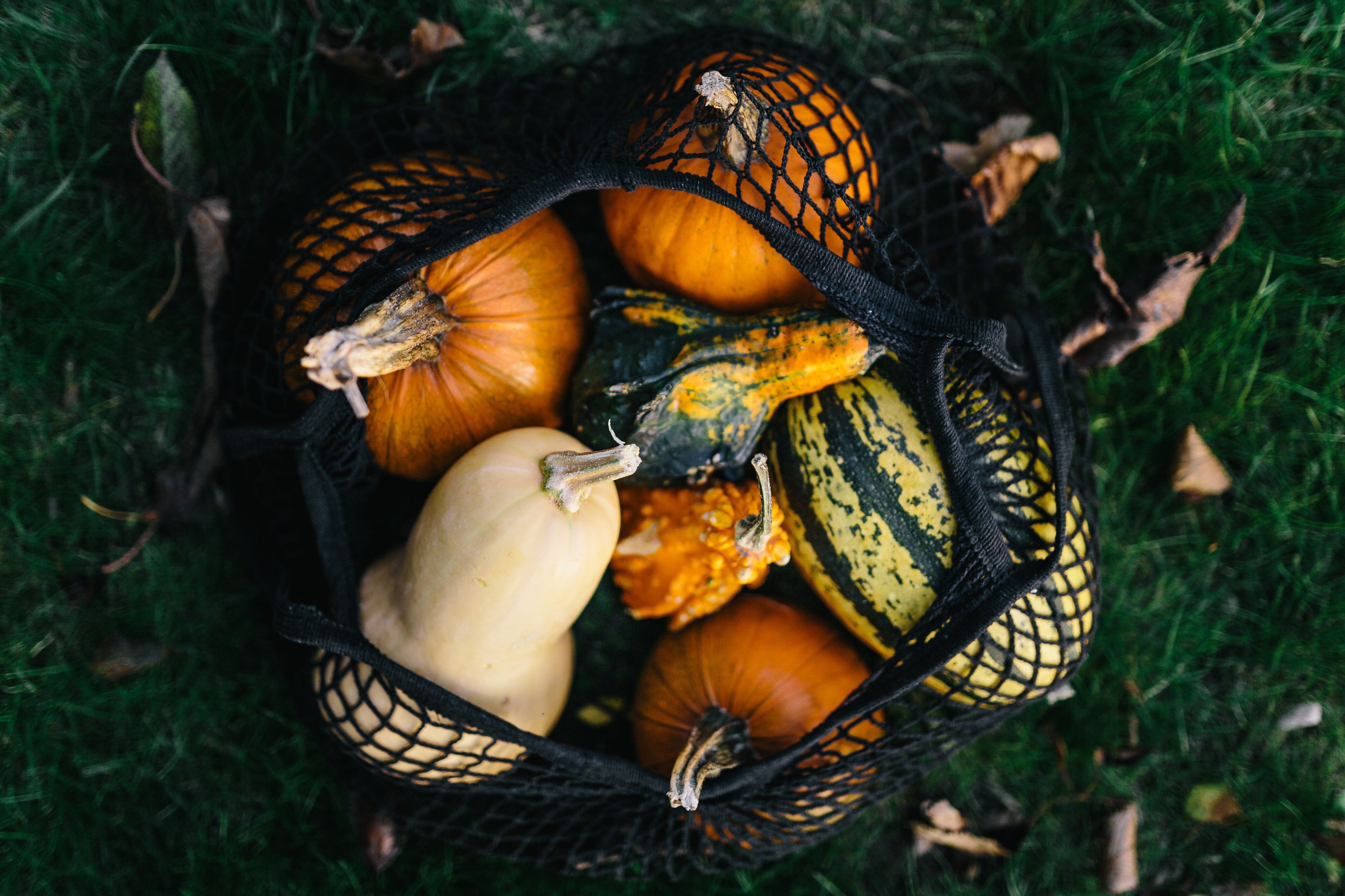 halloween, healthy eating, close-up, fall, vegetable, outdoors, squash - vegetable, food, october, pumpkins, no people, high angle view, autumn, variety, HD Wallpaper