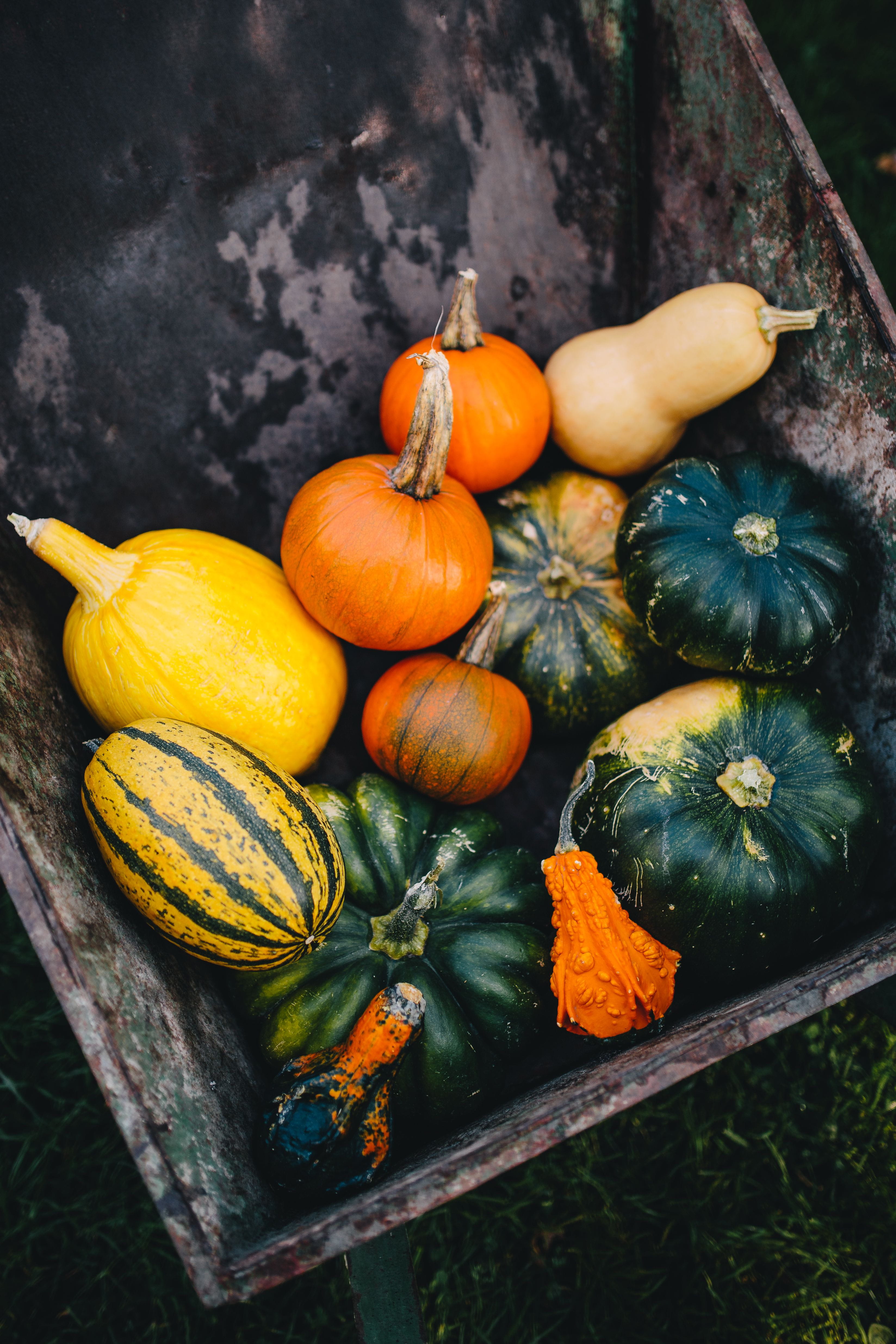 wood - material, october, vegetable, crate, food, freshness, healthy, 4K, wellbeing, health, seasonal, pumpkins, day, variety, november, container, squash - vegetable, Phone HD Wallpaper
