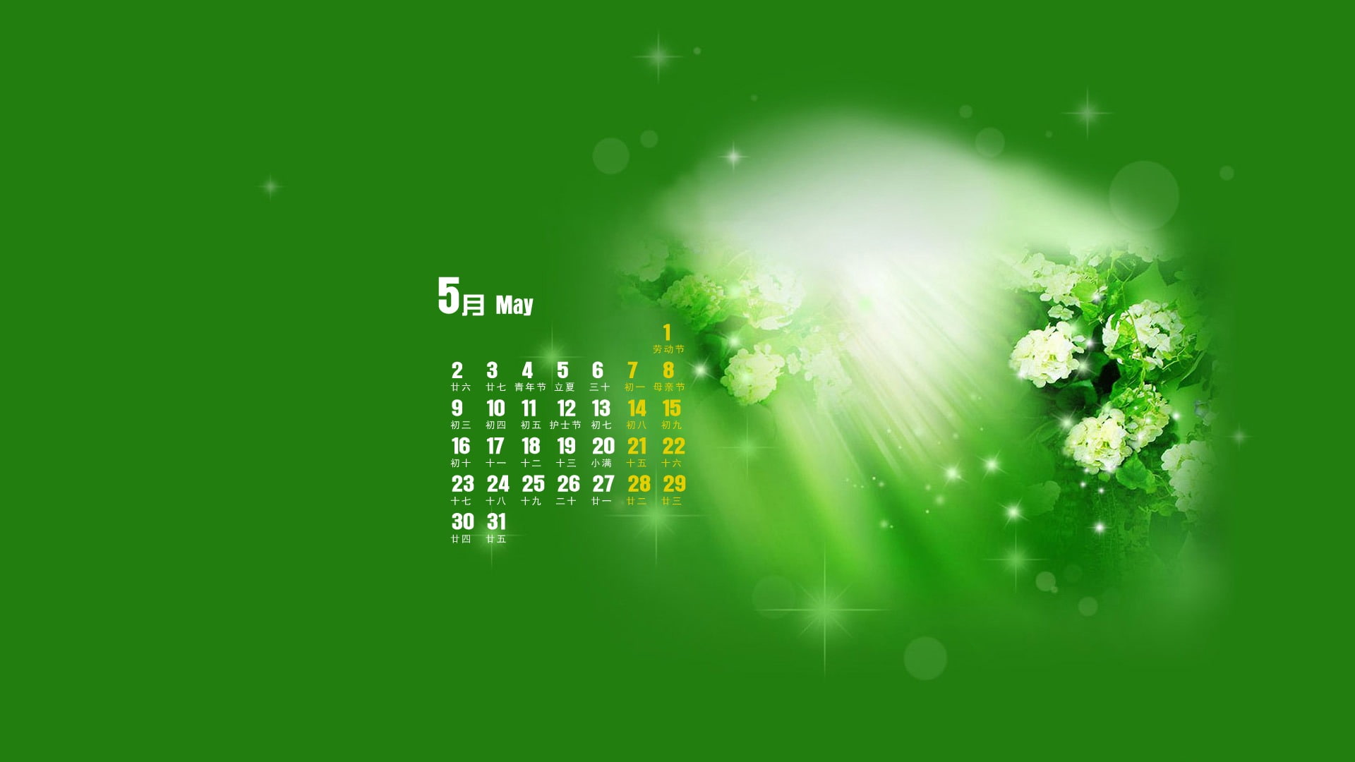 industry, indoors, colored background, creativity, green color, plant, green background, calendar, no people, motion, technology, desktop, nature, copy space, HD Wallpaper