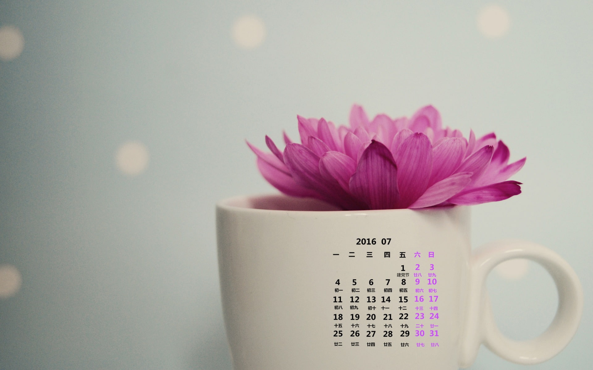 inflorescence, pink color, indoors, calendar, coffee cup, flowering plant, fragility, text, close-up, 1080P, tea cup, cup, mug, nature, july, flower arrangement, HD Wallpaper