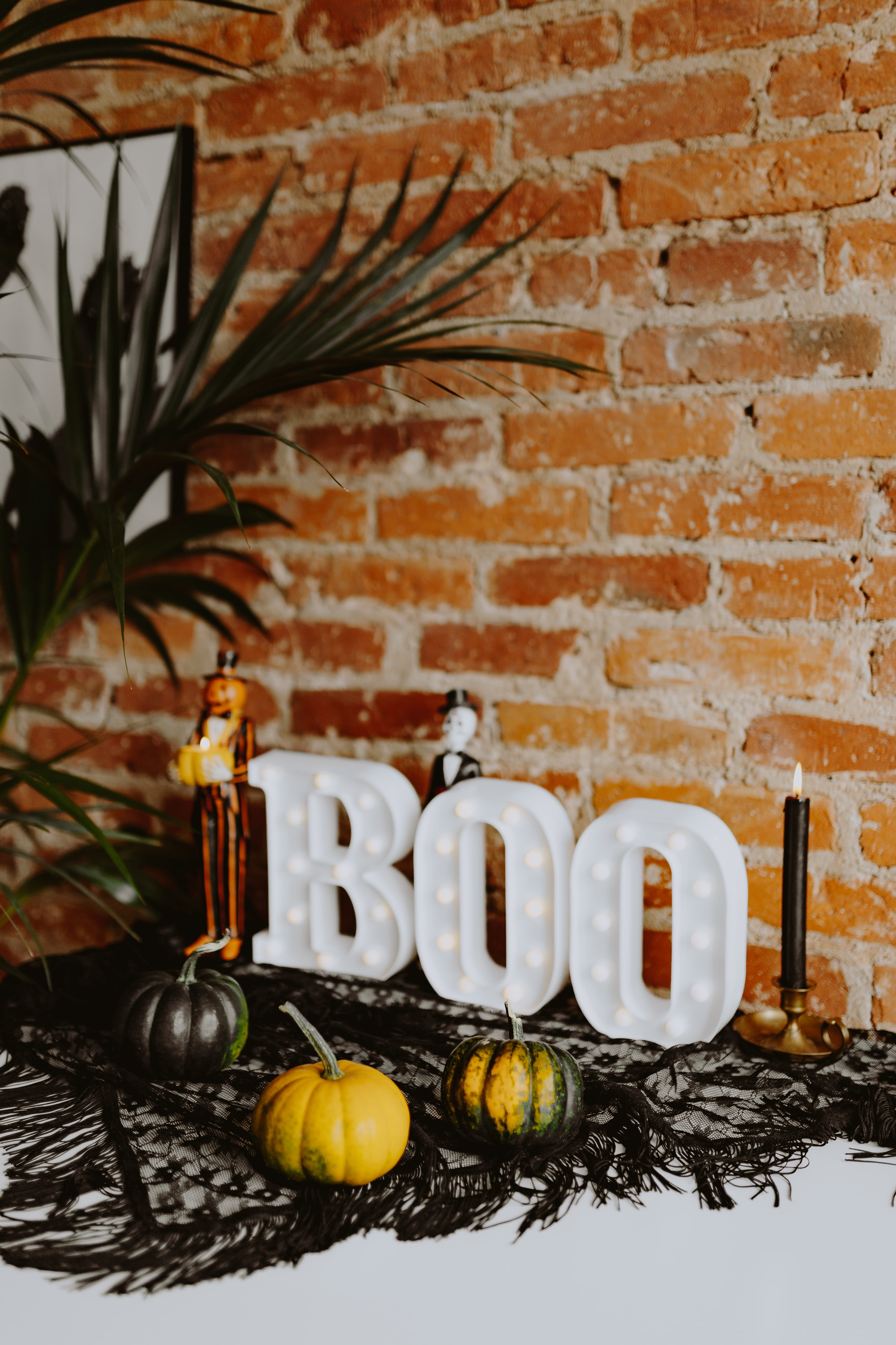 plant, october, brick, food, boo, wall - building feature, food and drink, western script, no people, letters, wall, wellbeing, healthy eating, decorations, Phone HD Wallpaper