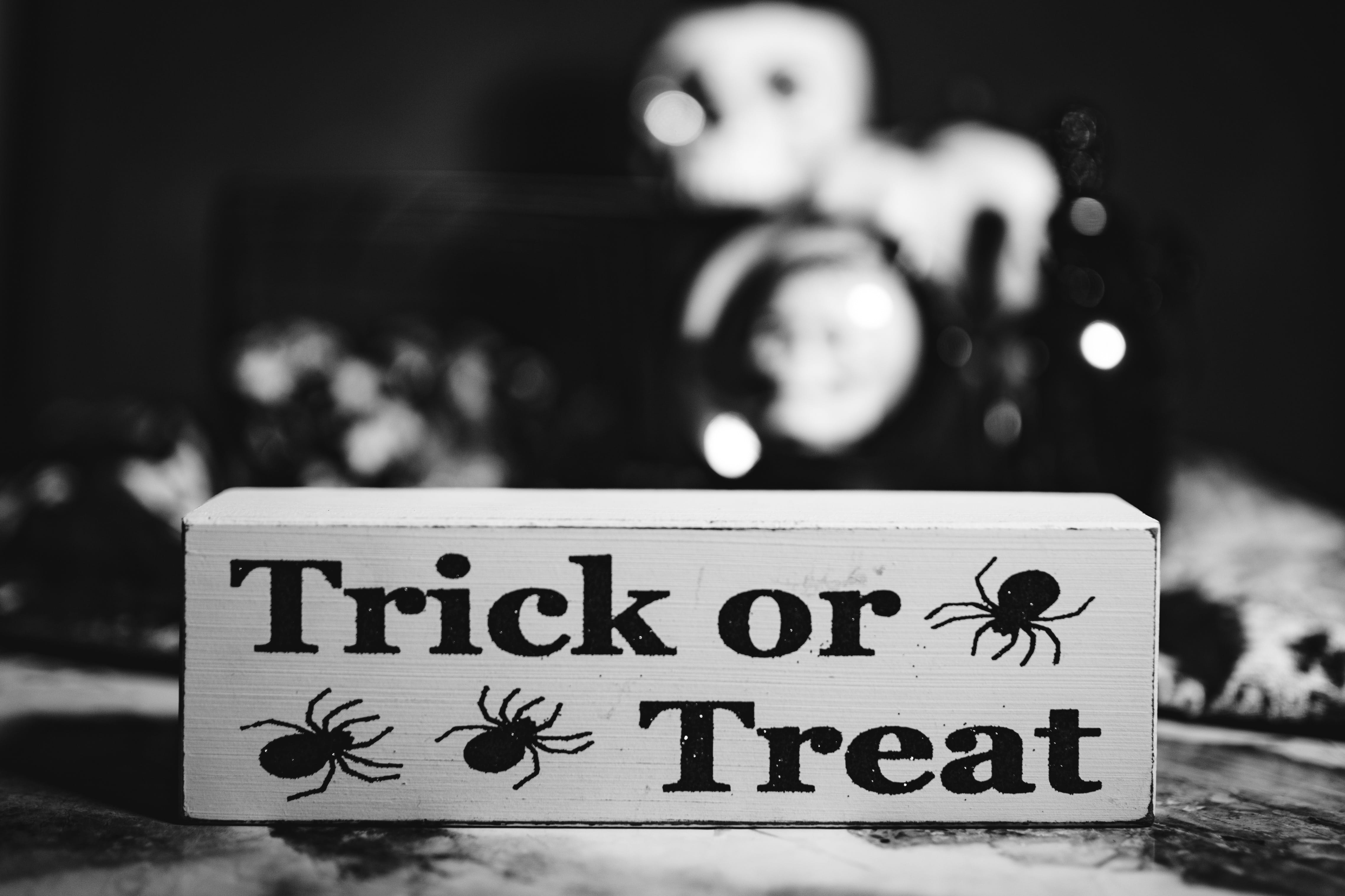 4K, halloween, capital letter, retro styled, sign, information sign, text, selective focus, spooky, outdoors, message, focus on foreground, autumn, close-up, HD Wallpaper