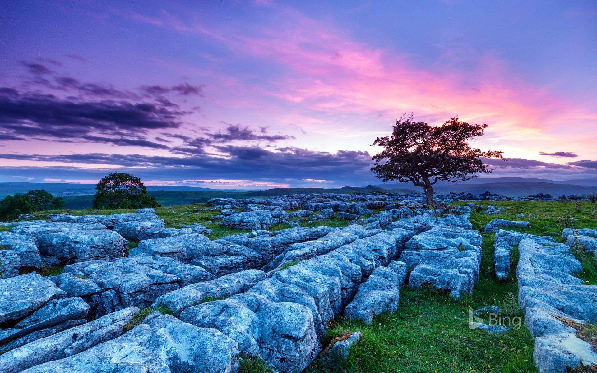 landscape, tree, nature, cloud - sky, environment, non-urban scene, tranquility, park, purple, sunset, sky, land, tranquil scene, scenics - nature, outdoors, HD Wallpaper
