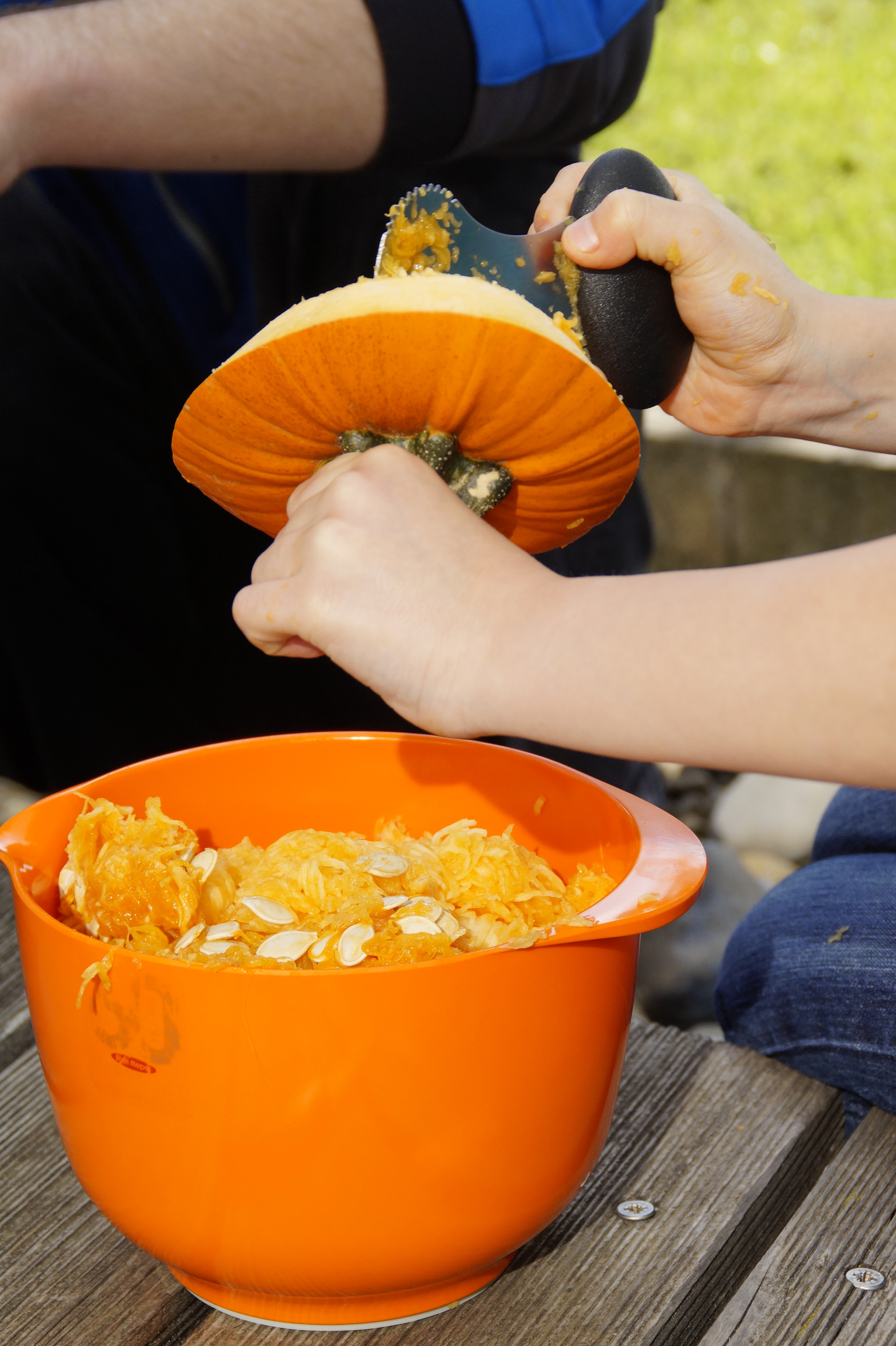 close-up, trick or treat, autumn, lid, freshness, scrape off, food and drink, halloweenkuerbis, 31 october, holding, lifestyles, food, hand, men, one person, Phone HD Wallpaper