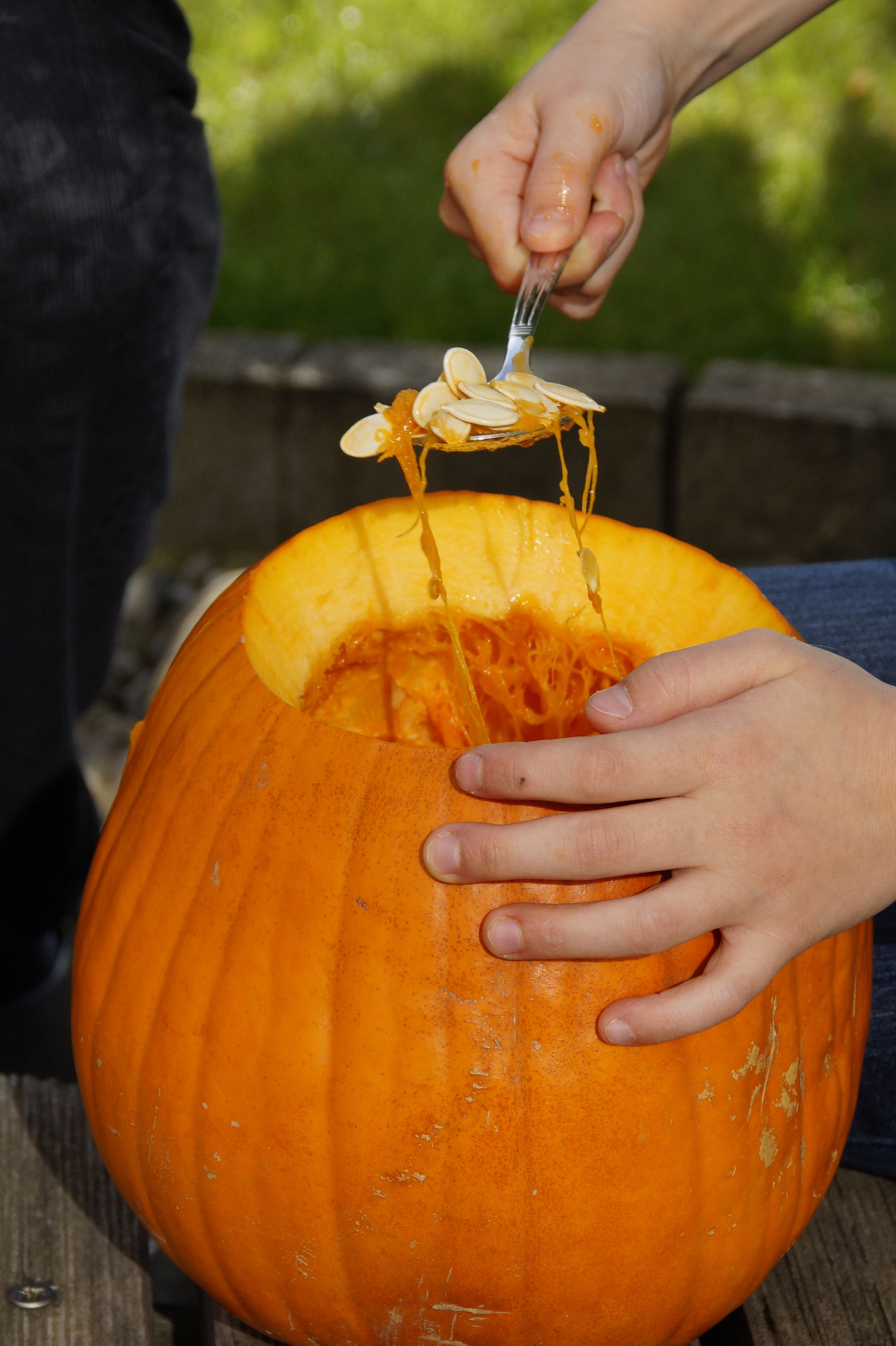 31 october, lifestyles, celebration, interior, orange, real people, empty, food, one person, human body part, halloween, autumn decoration, leisure activity, Phone HD Wallpaper