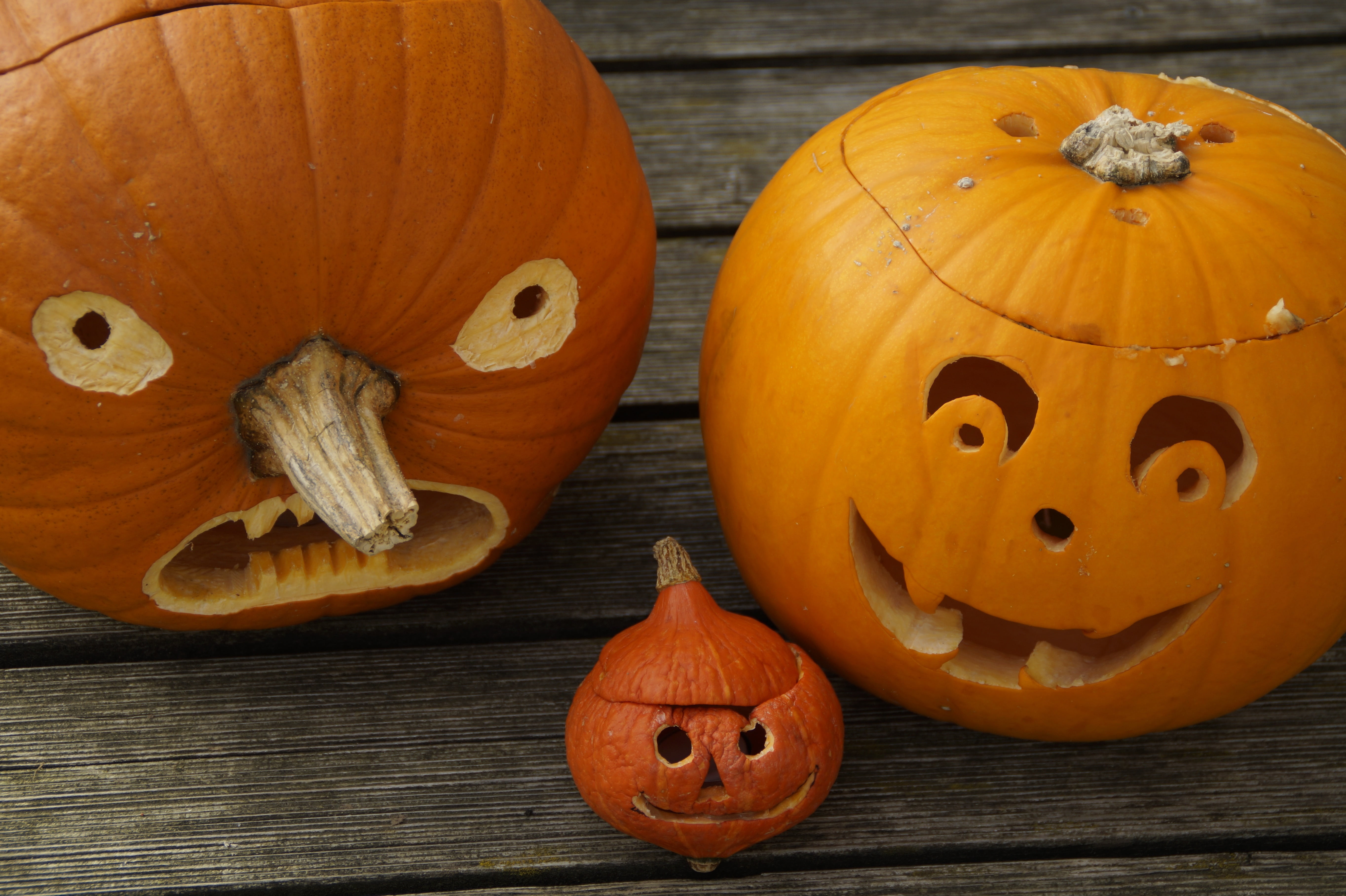 carve pumpkin ghost, food and drink, season, family, freshness, cheeky, halloweenkuerbis, autumn decoration, anthropomorphic face, pumpkin face, 5K, food, HD Wallpaper