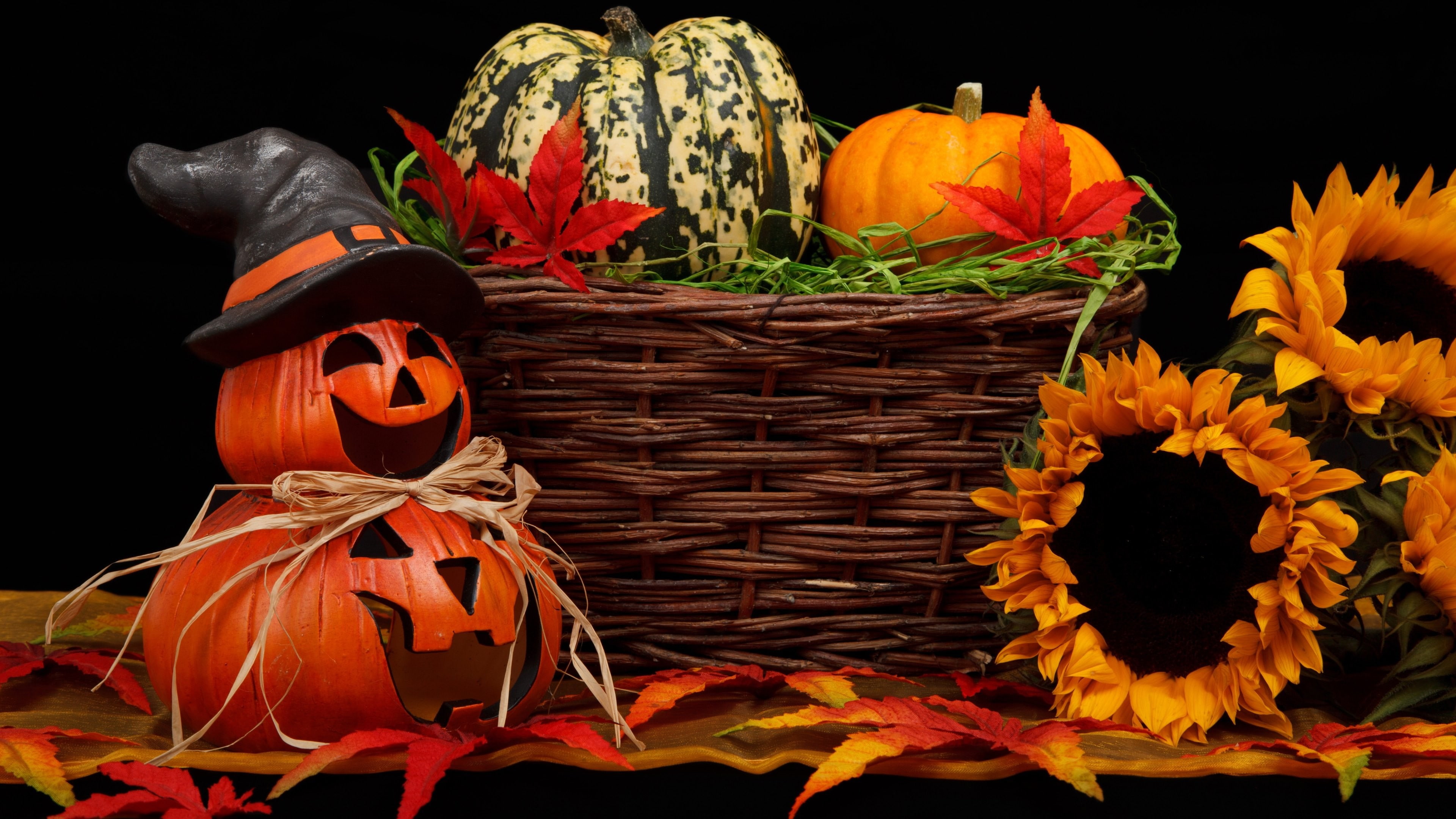 31 october, Holiday, Halloween, 4K, pumpkin host, HD Wallpaper