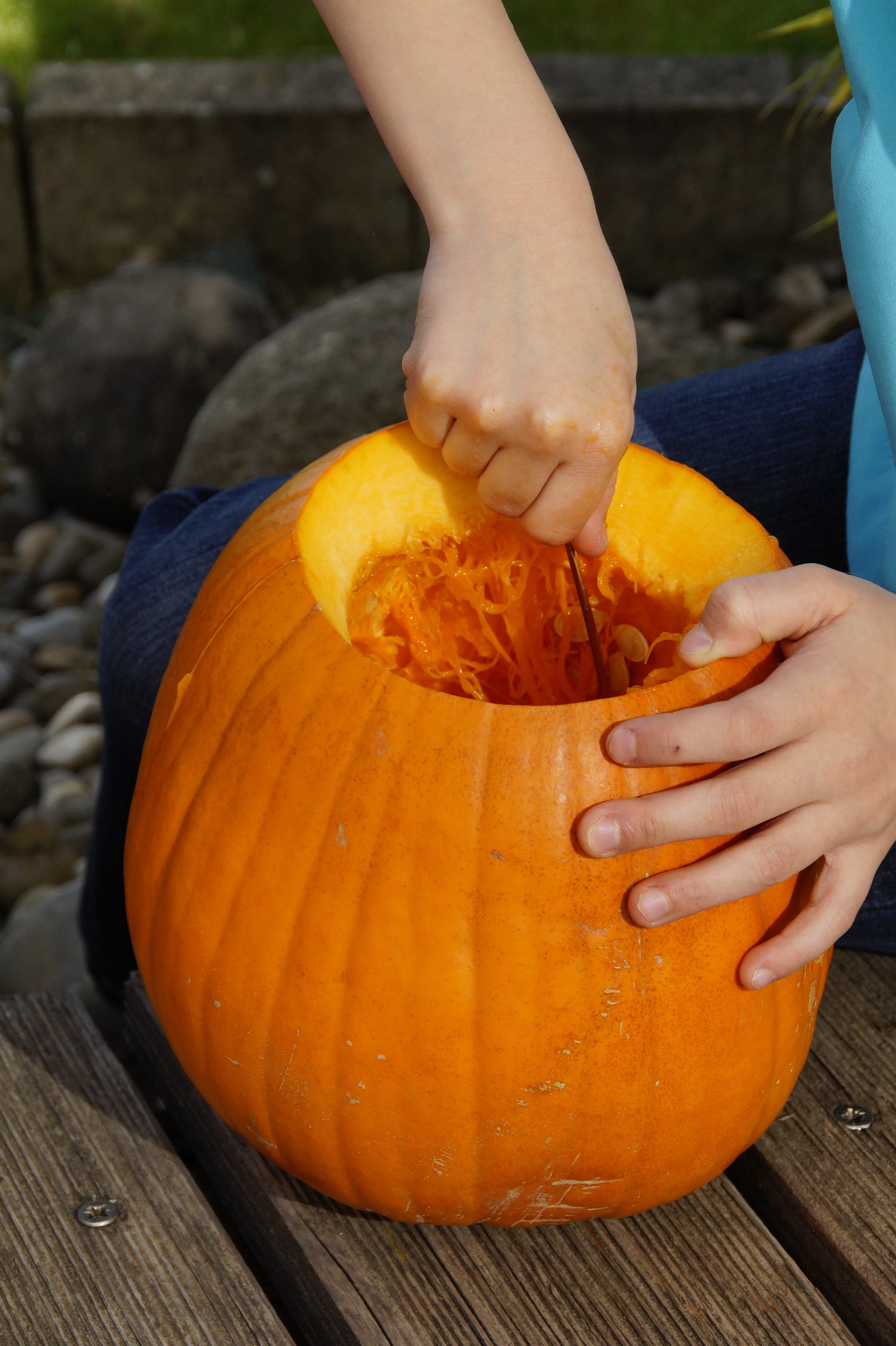 vegetable, scrape off, lid, halloweenkuerbis, Scrape, real people, holding, one person, october, carving pumpkin, Scoop, pumpkin ghost, outdoors, Pumpkin, Phone HD Wallpaper