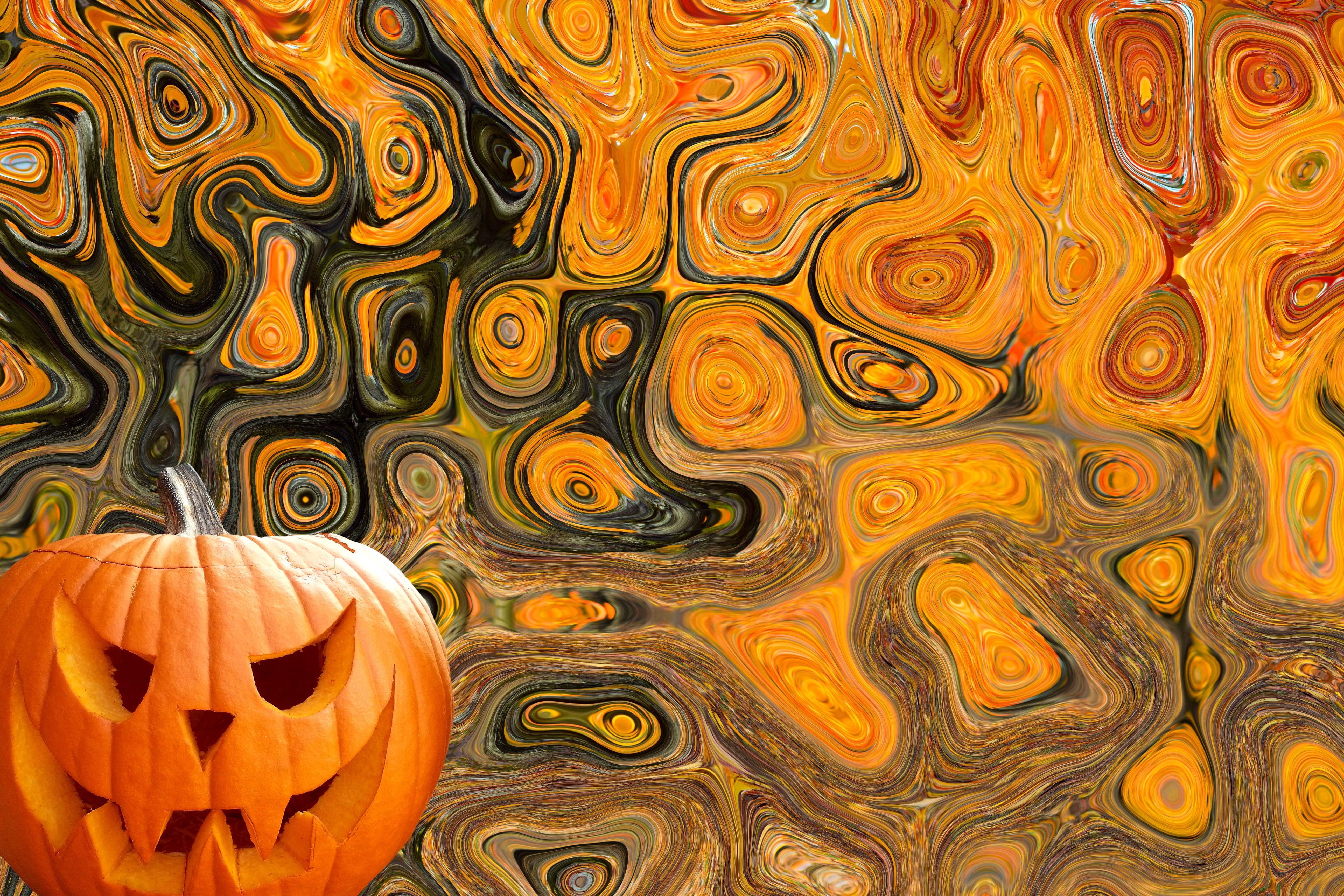 celebration, ornate, 5K, decoration, food, thanksgiving, orange color, food and drink, full frame, gourd, 31 october, carving - craft product, no people, HD Wallpaper