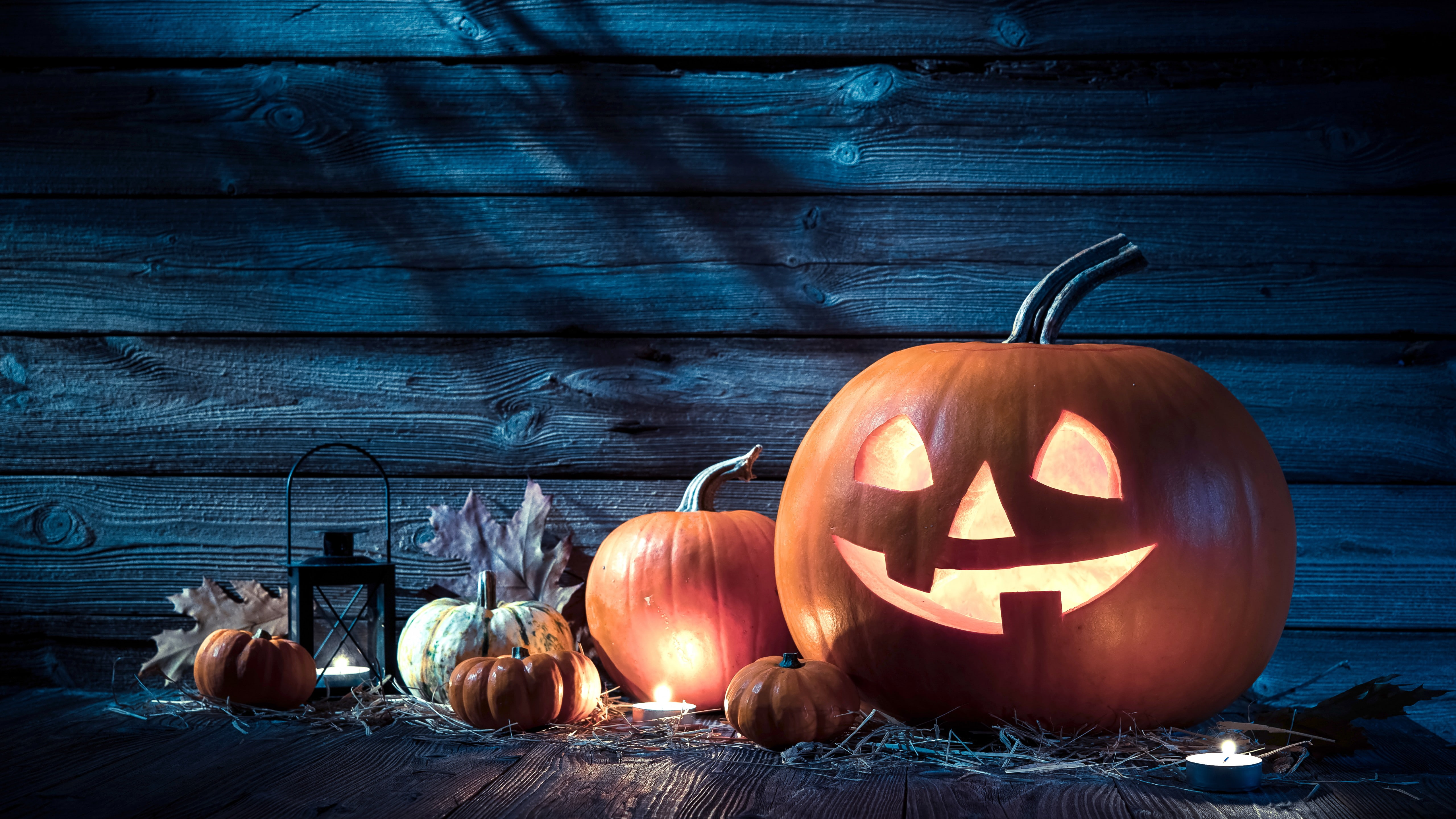 Holiday, Halloween, pumpkin host, 5K, 31 october, HD Wallpaper