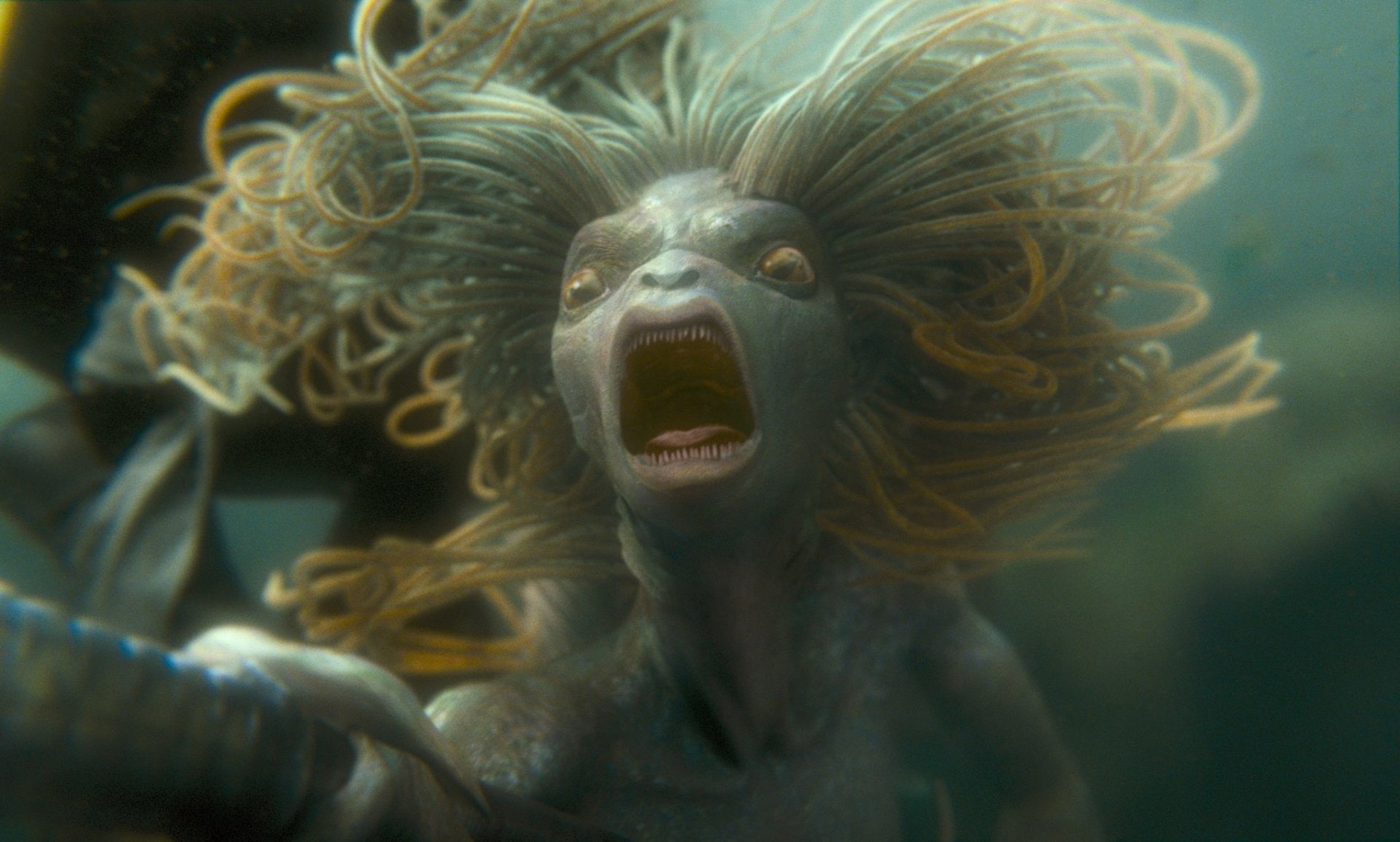 1080P, Harry Potter, Harry Potter and the Goblet of Fire, HD Wallpaper