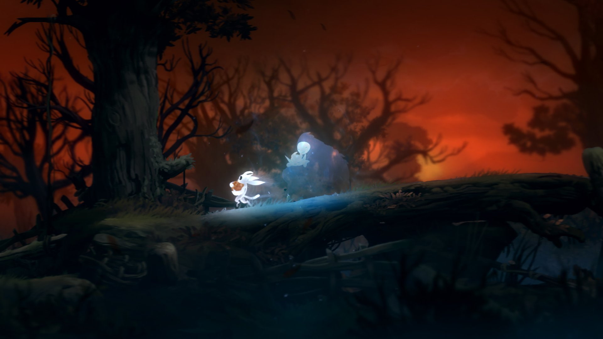 ori-blind-forest, forest, magic, action, rpg, fantasy, adventure, 1080P, 1oribf, blind, ori, HD Wallpaper