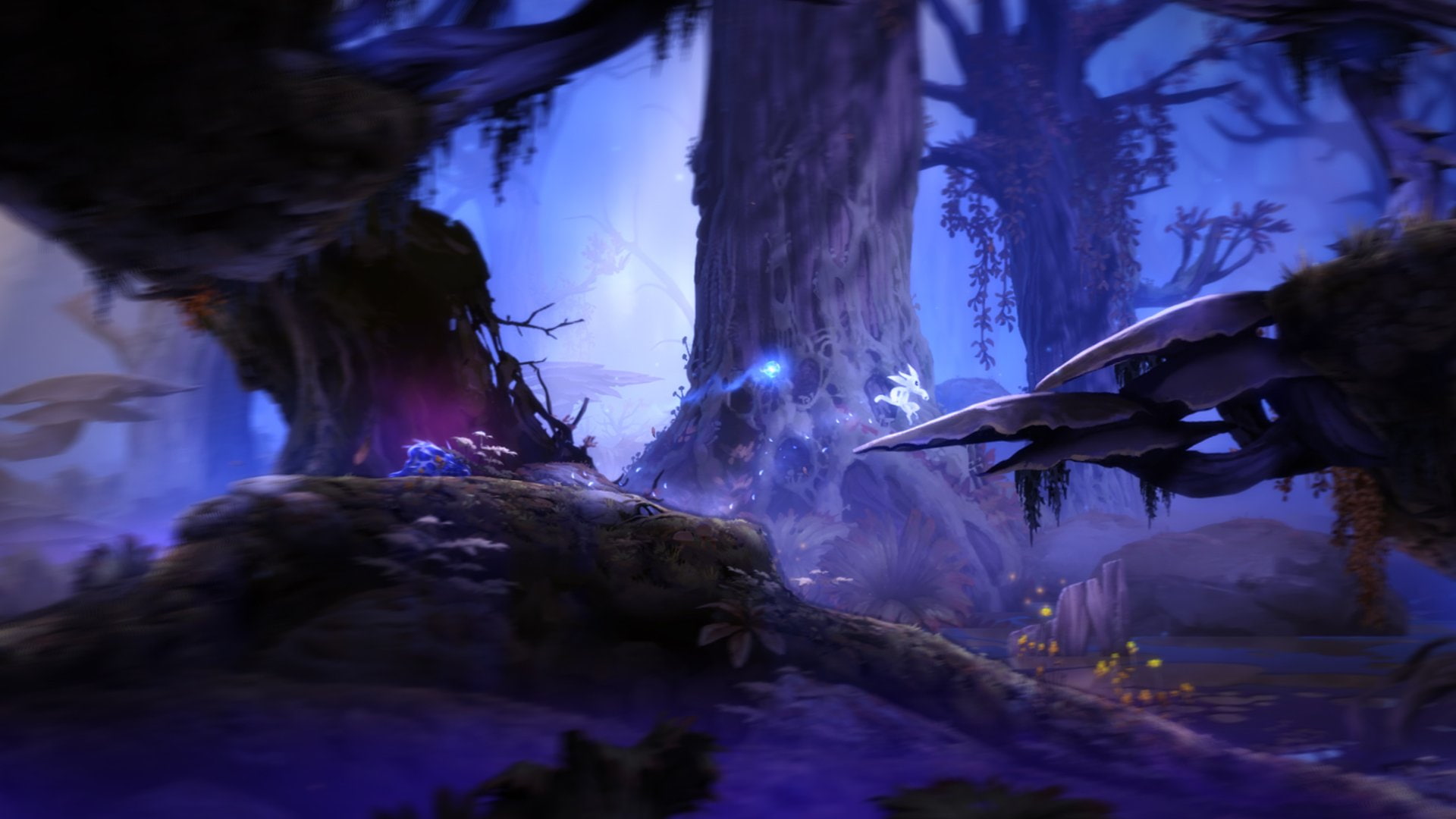 action, ori, ori-blind-forest, 1080P, adventure, forest, fantasy, 1oribf, blind, magic, rpg, HD Wallpaper
