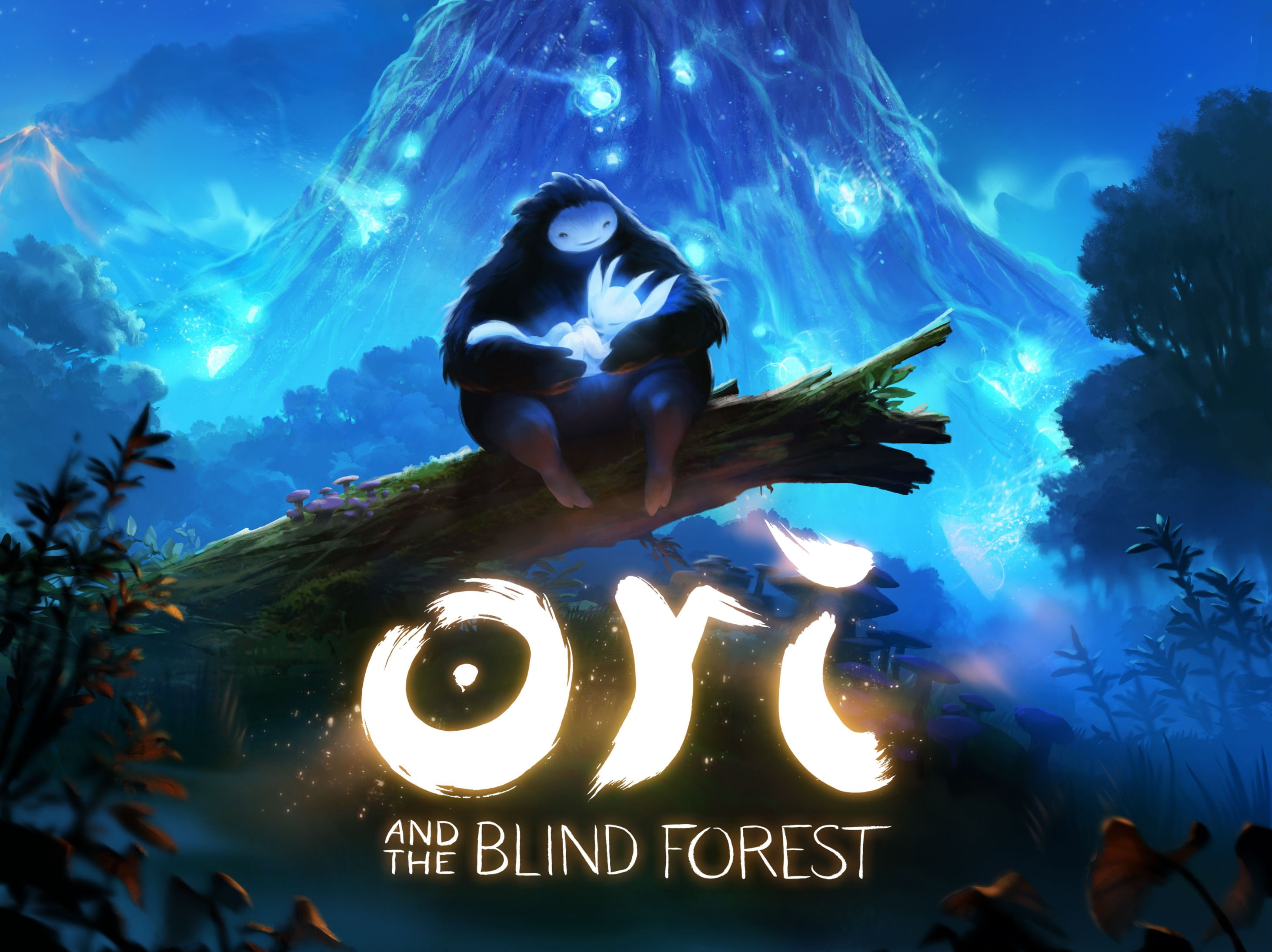2K, ori, forest, fantasy, adventure, blind, 1oribf, ori-blind-forest, rpg, action, magic, HD Wallpaper