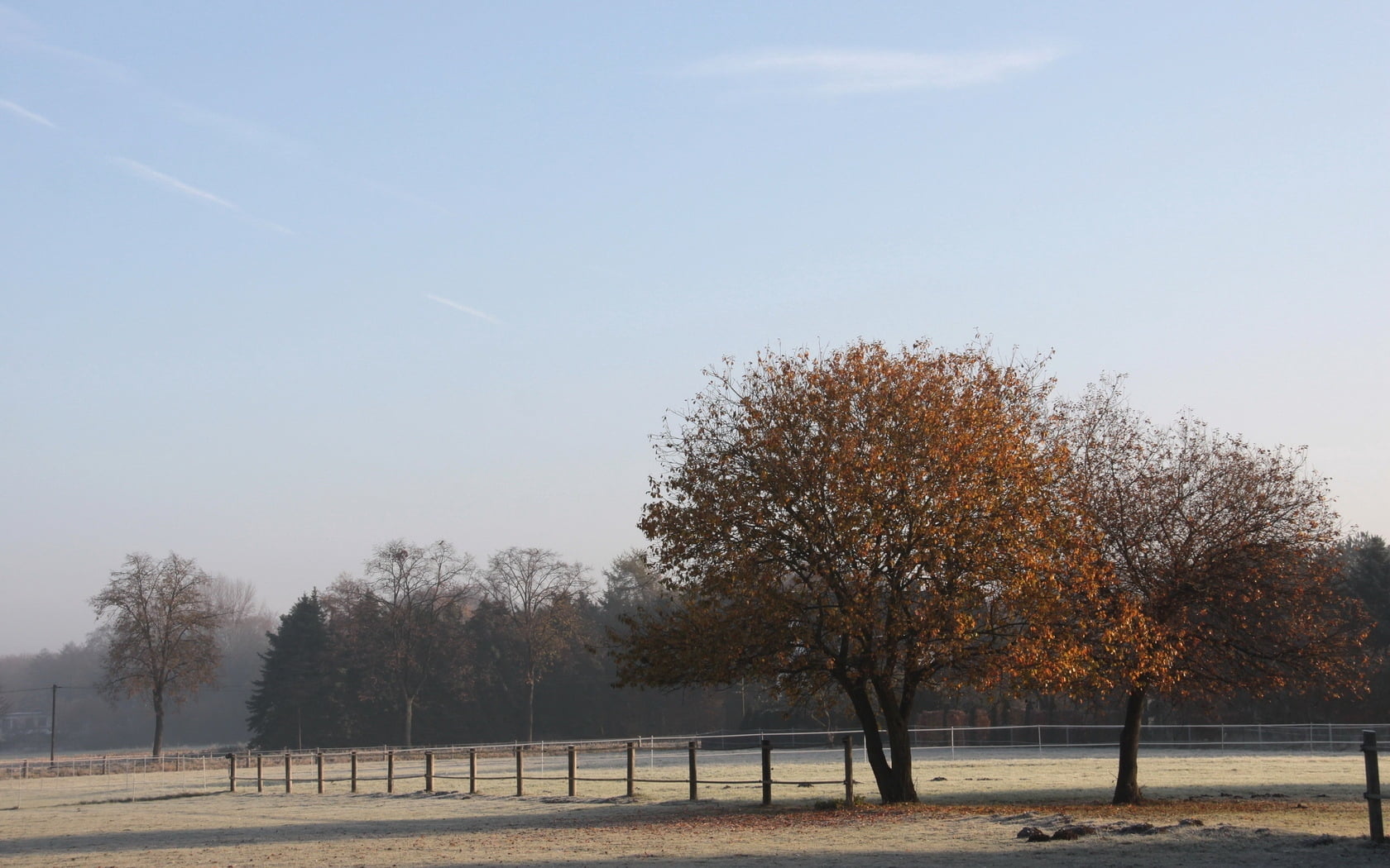 trees, frost, leaf, landscape, nature, sky, october, dried, scenics, idyllic, weather, field, cold - Temperature, frosts, park - Man Made Space, rural Scene, HD Wallpaper