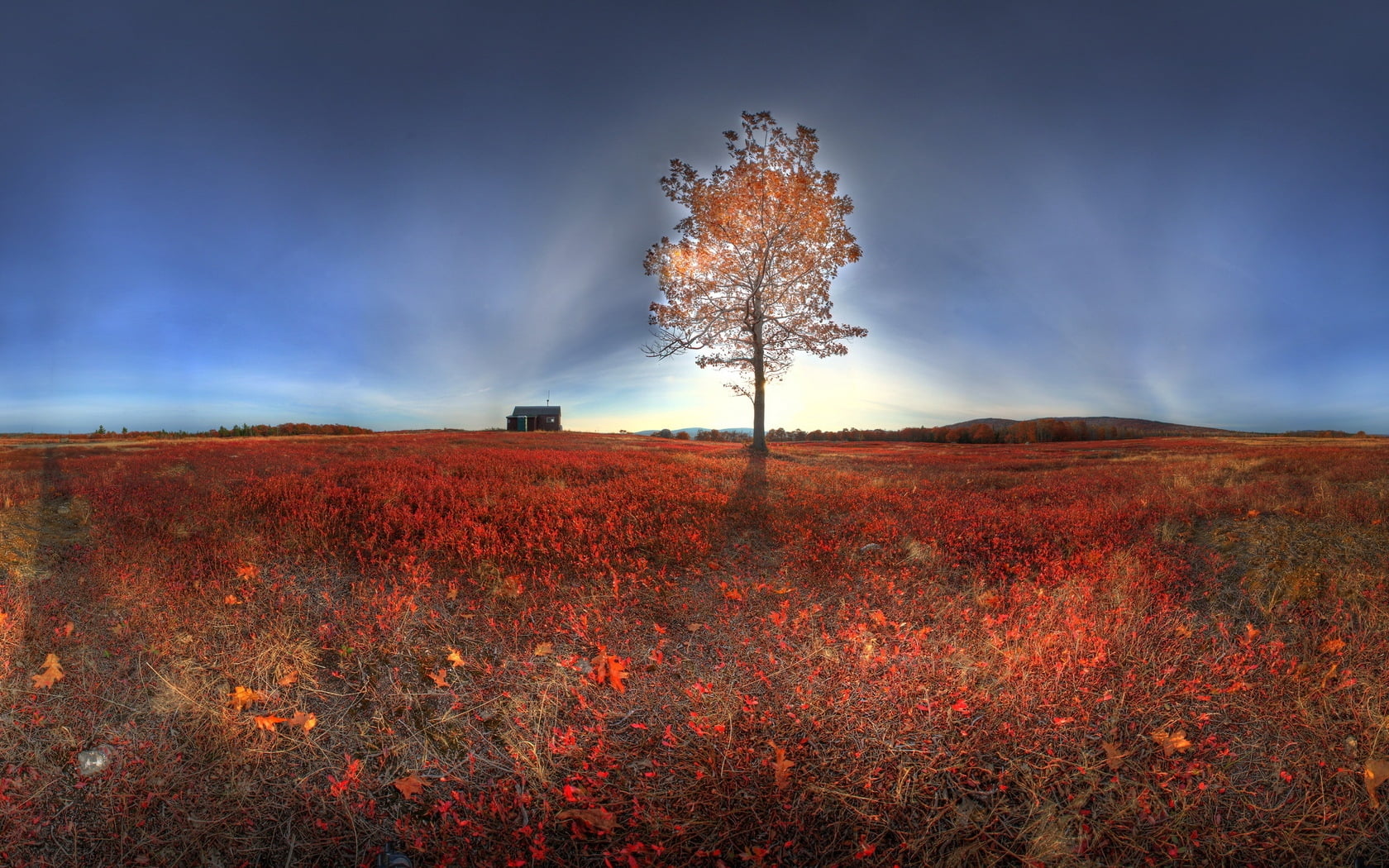 landscaped, leafed, cloud - Sky, summer, environment, 720P, land, scenics, horizon Over Land, red, tranquility, meadow, agriculture, springtime, beauty In Nature, HD Wallpaper