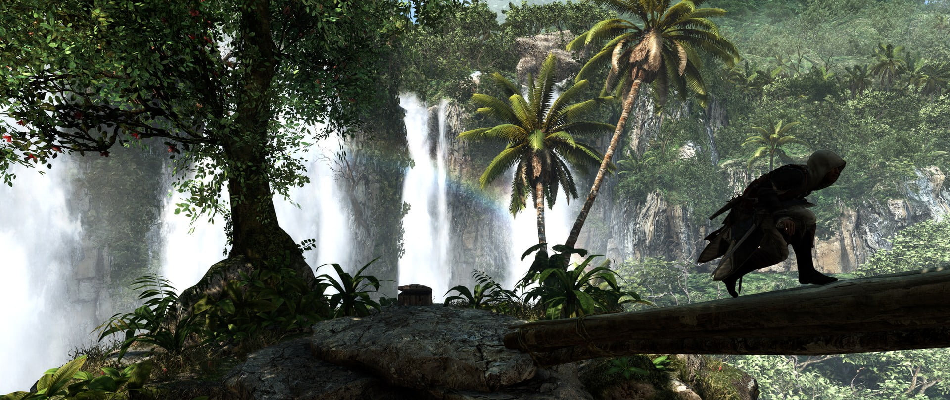 flowing water, falling water, 1080P, scenics - nature, tree, plant, waterfall, tranquil scene, land, Assassins Creed, outdoors, plant part, tranquility, HD Wallpaper
