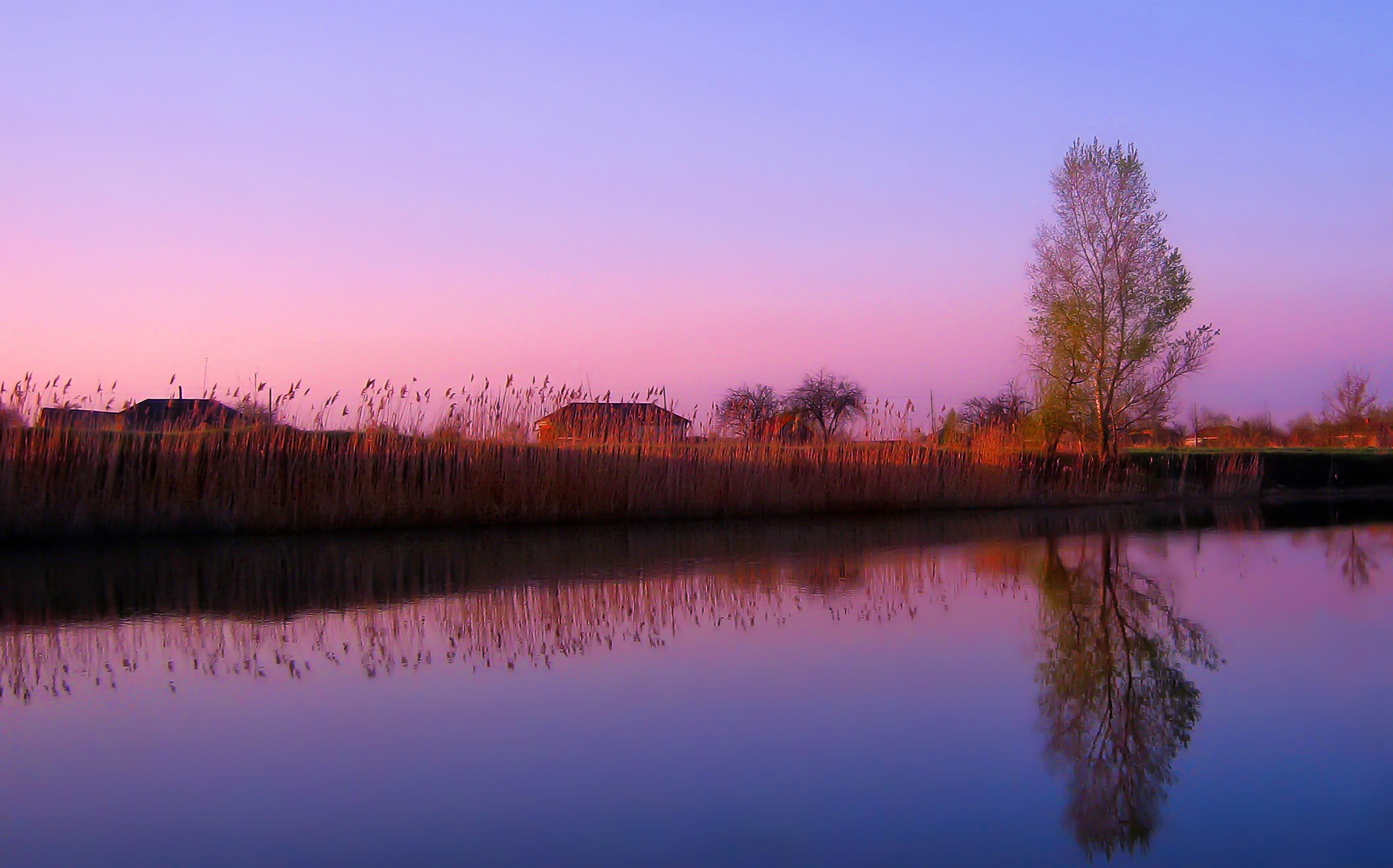 idyllic, no people, sky, reed, tranquil scene, water, nature, scenics - nature, village, reflection lake, tree, outdoors, tranquility, morning, plant, lake, HD Wallpaper