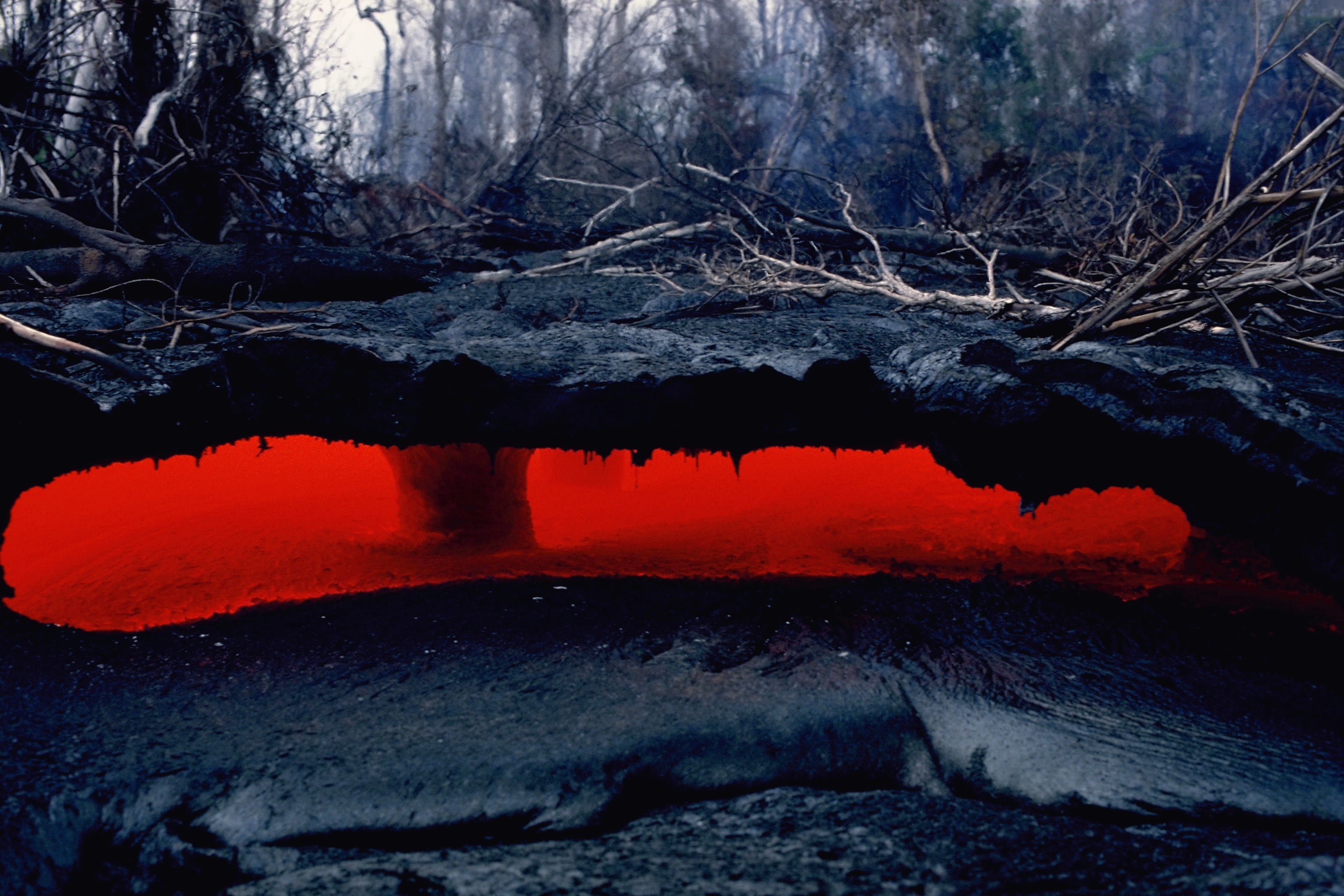 lava, nature, outdoors, scenics - nature, brown, forest, no people, plant, water, environment, natural disaster, 2K, land, beauty in nature, trunks, red, HD Wallpaper