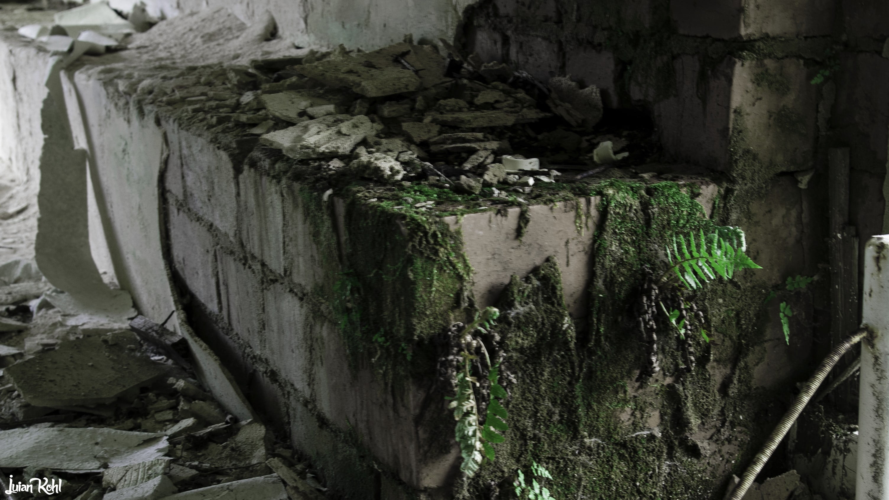 ruined, bark, abandoned, architecture, textured, damaged, wood - material, weathered, no people, history, moss, plant, rough, wall, built structure, old, HD Wallpaper