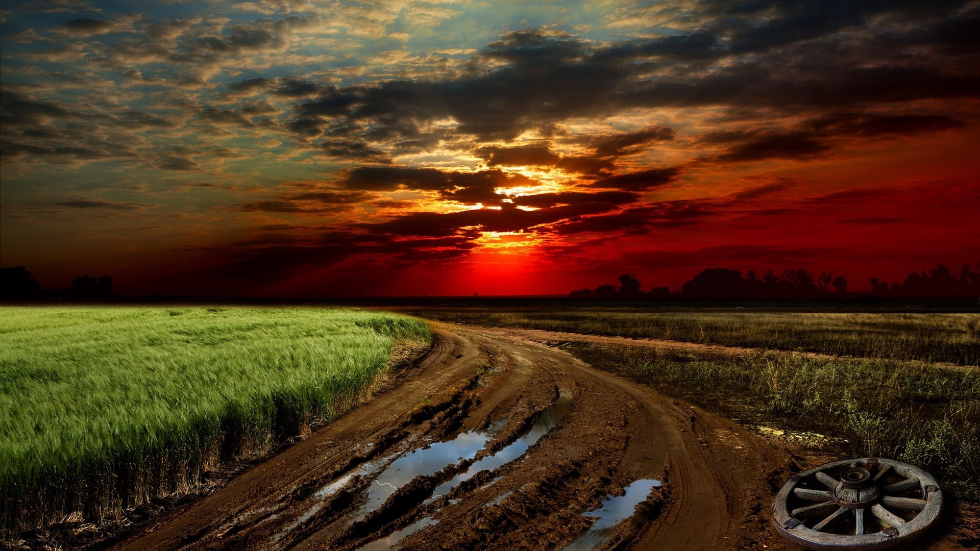 full h-d  of nature 1920x1080, 1080P, HD Wallpaper