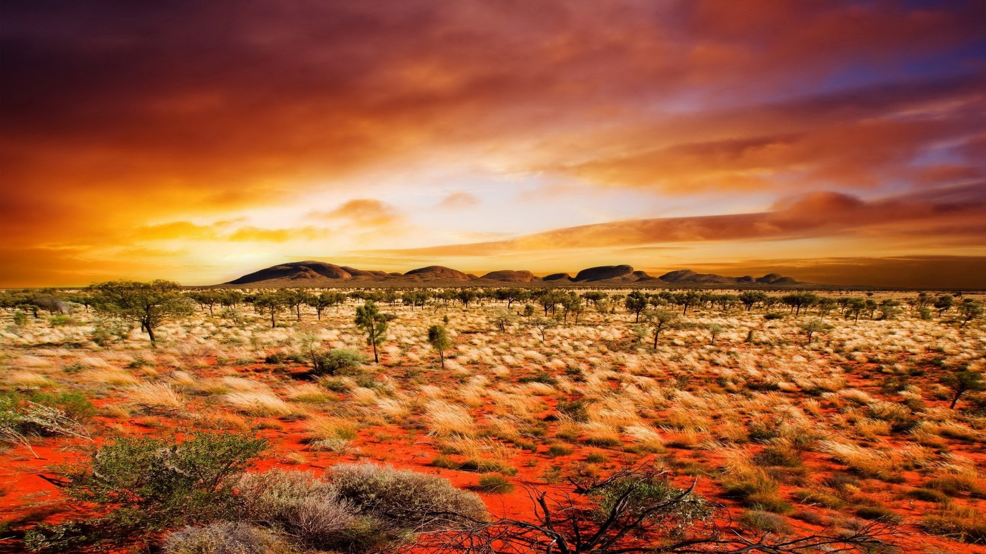 1080P, full h-d  of nature 1920x1080, HD Wallpaper