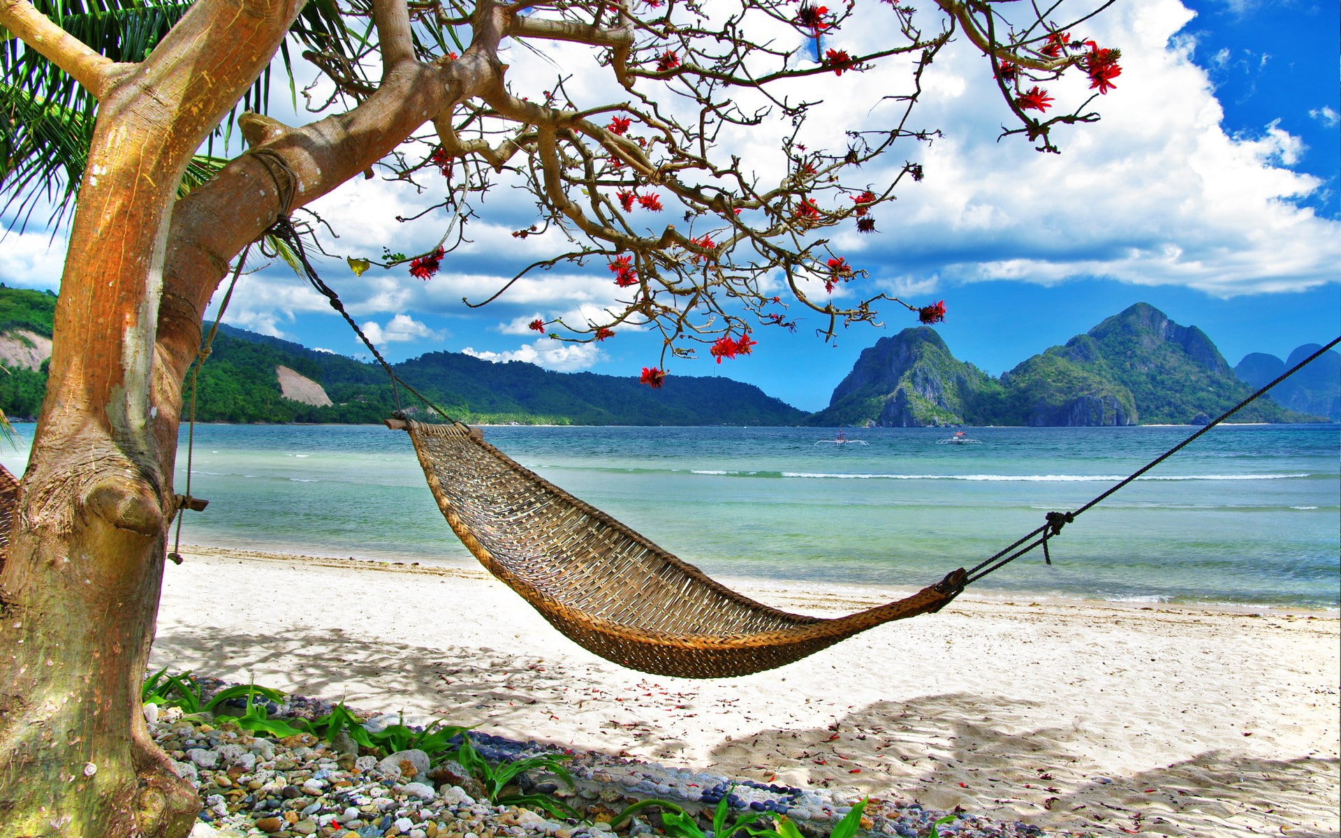 1080P, background nature image 1920x1200, HD Wallpaper