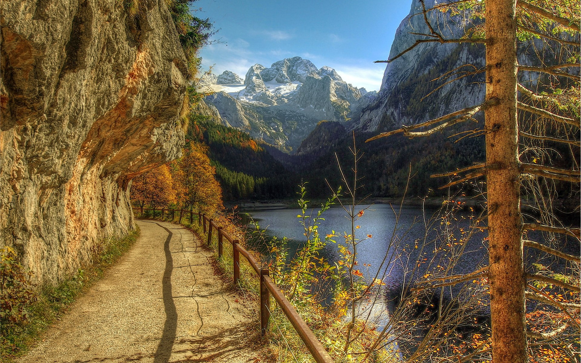 background image hd nature scene 1920x1200, 1080P, HD Wallpaper